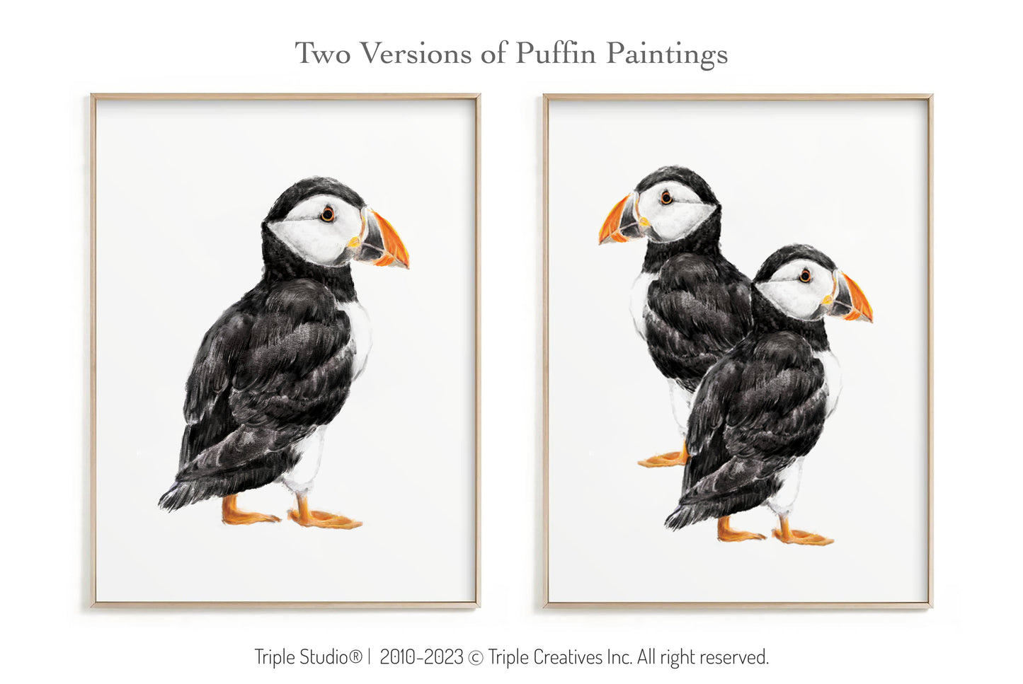 Two Puffin Birds Art Print