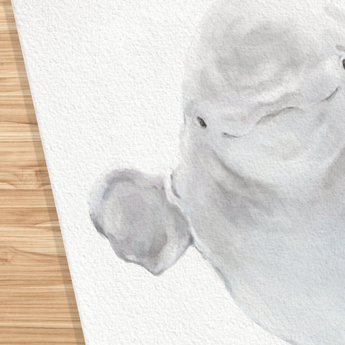 Baby Beluga Watercolor Art Print