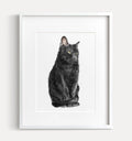 Bombay Black Cat Art Print