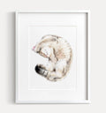 Cuddly Tabby Cat Art Print