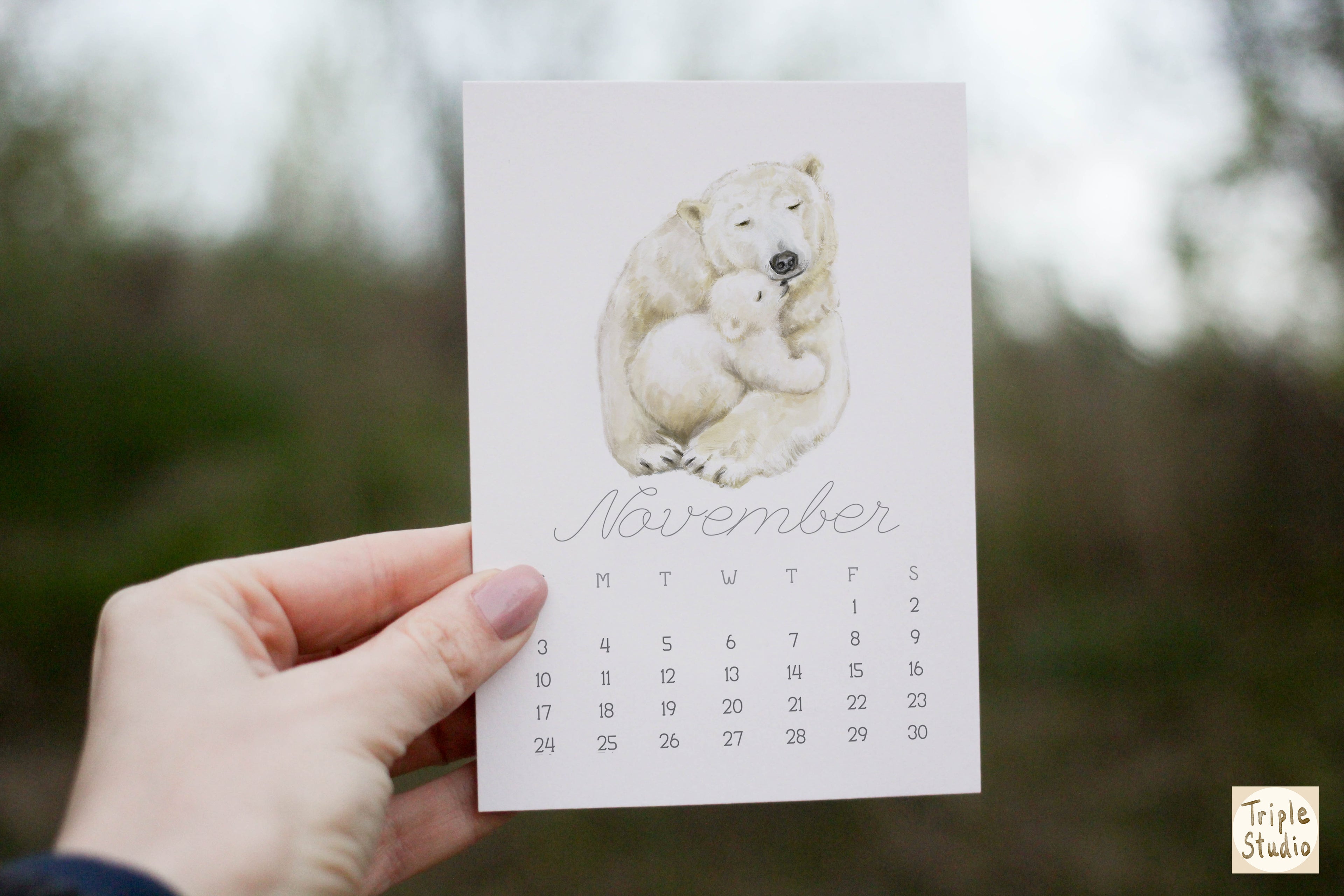 2026 Desk Calendar: Ocean Animal