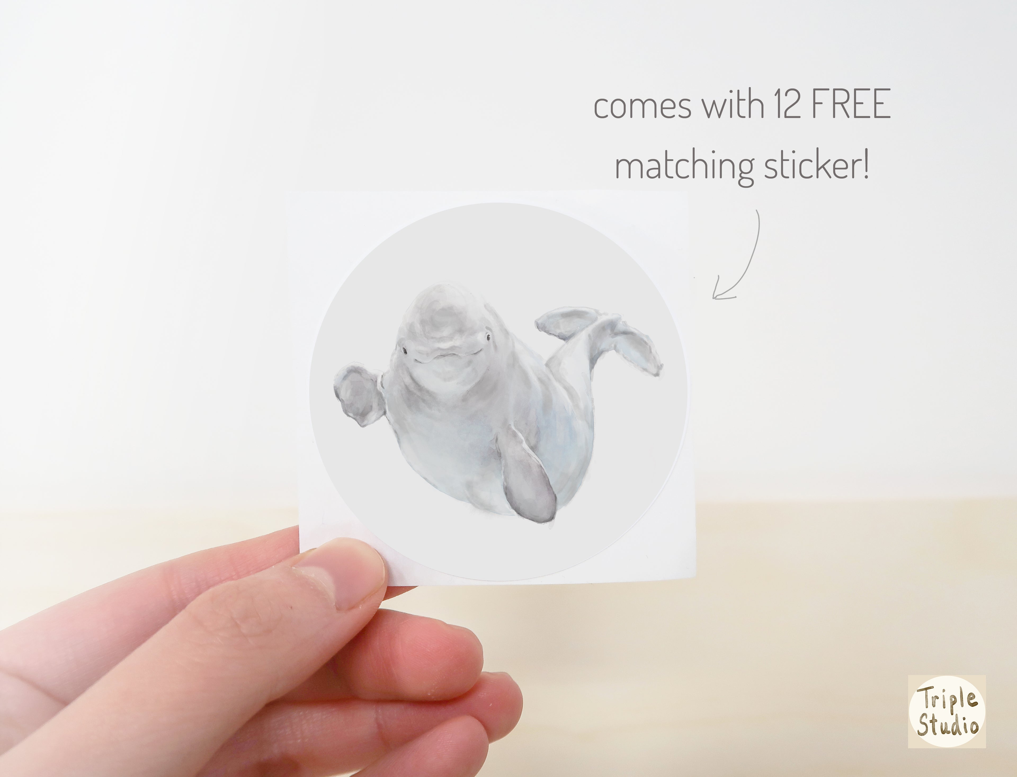 2026 Desk Calendar: Ocean Animal