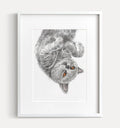 Gray Cat Art Print