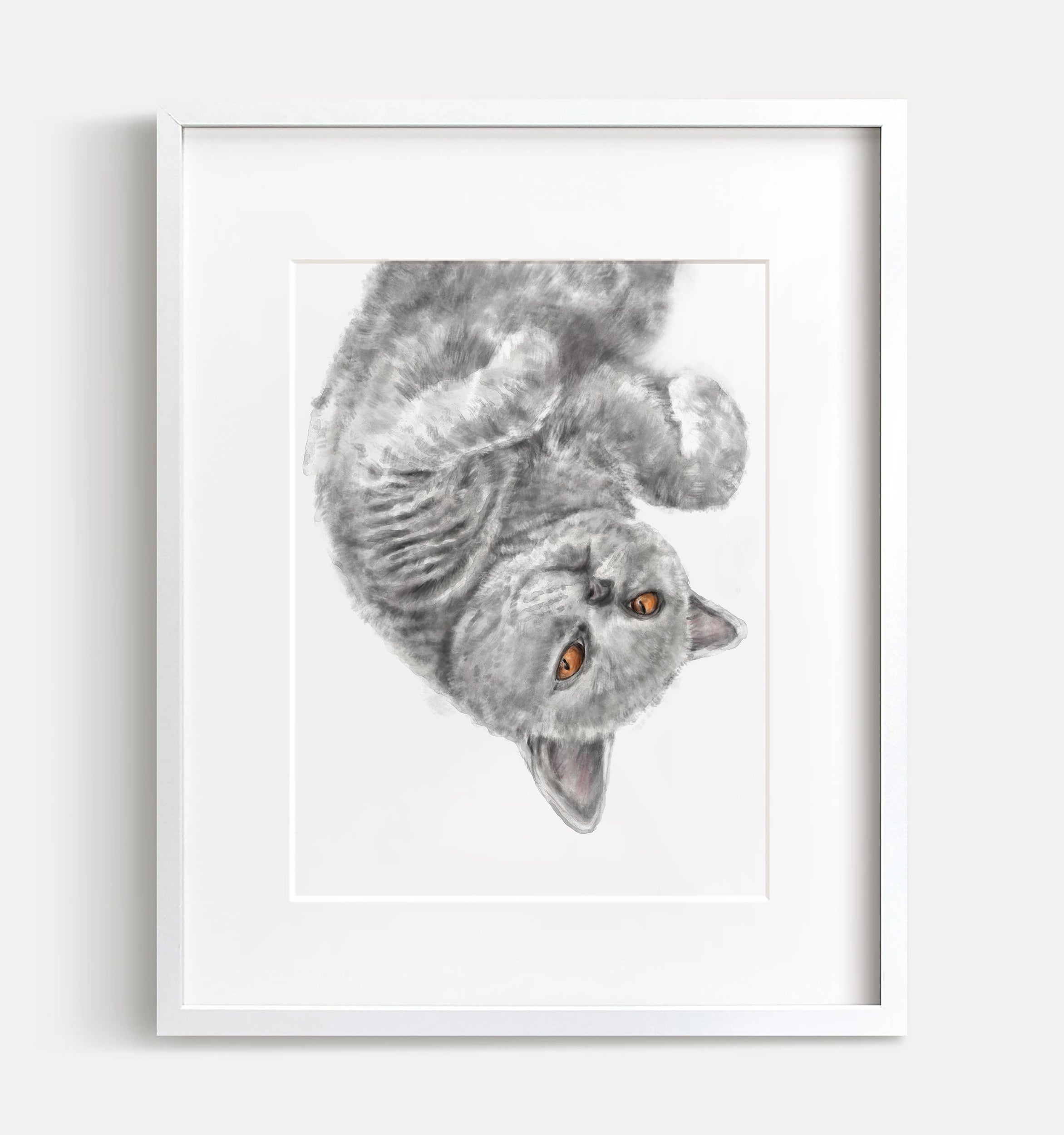 Gray Cat Art Print