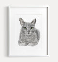 Gray Cat Art Print