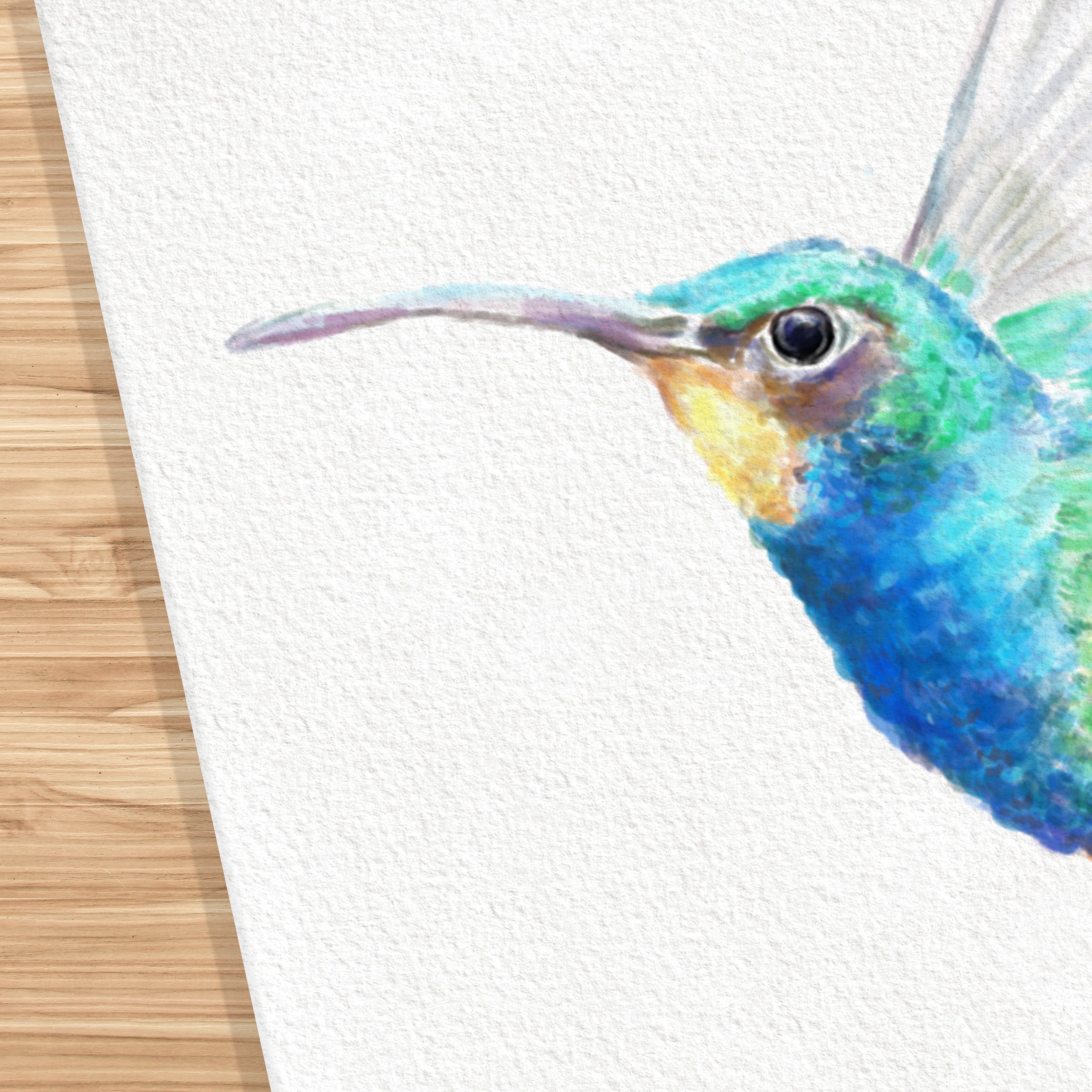 Hummingbird Art Print