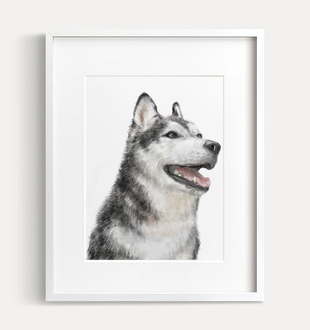 Husky Dog Art Print