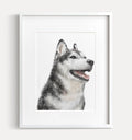 Husky Dog Art Print