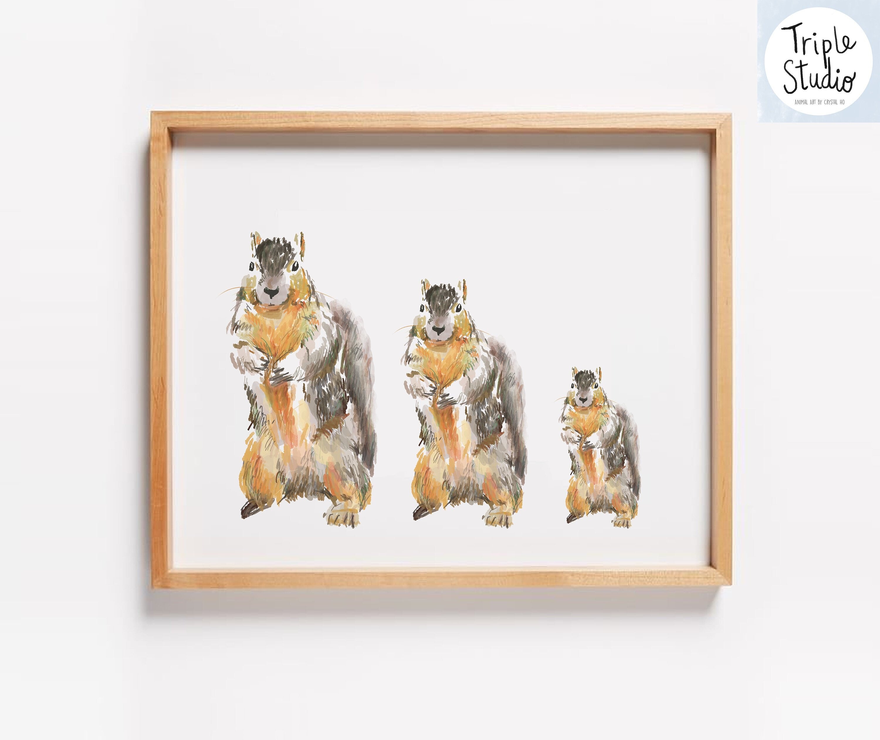 Squirrel Art Print