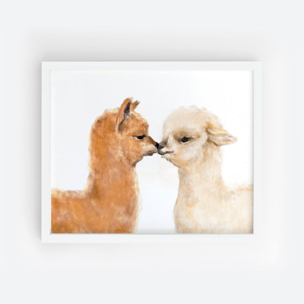 Llama Art Print