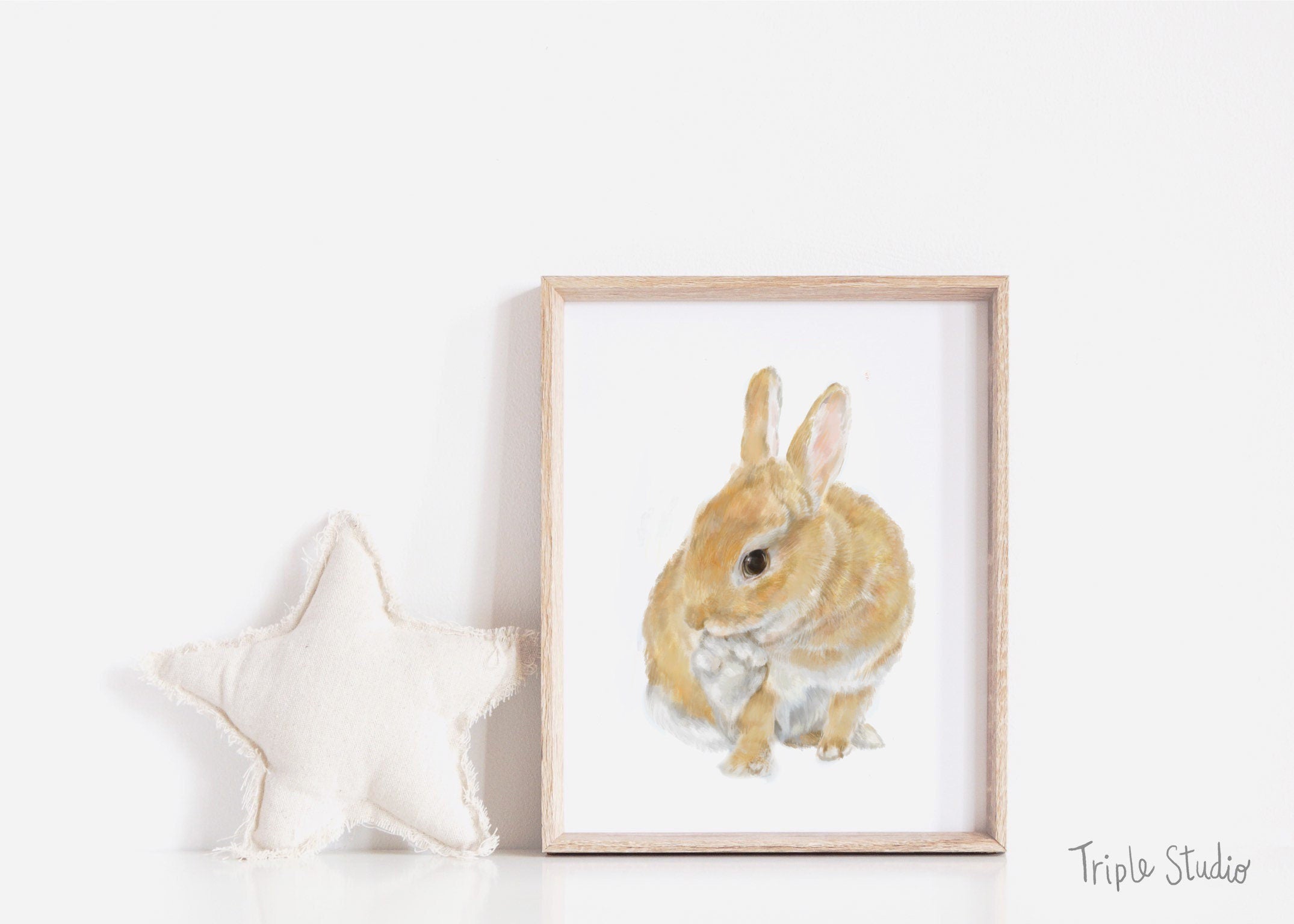 Rabbit Art Print