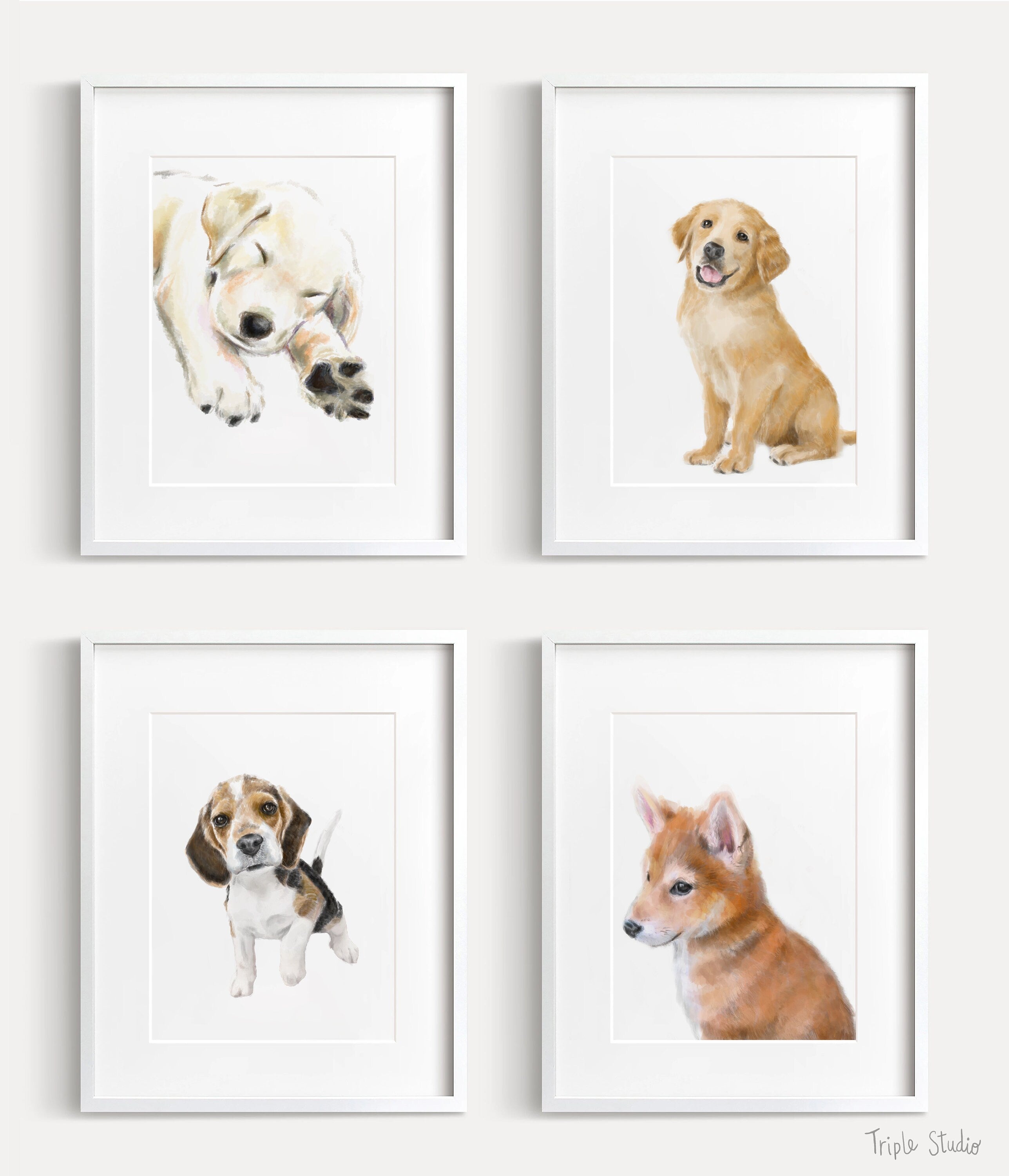 Shiba Inu Puppy Dog Art Print