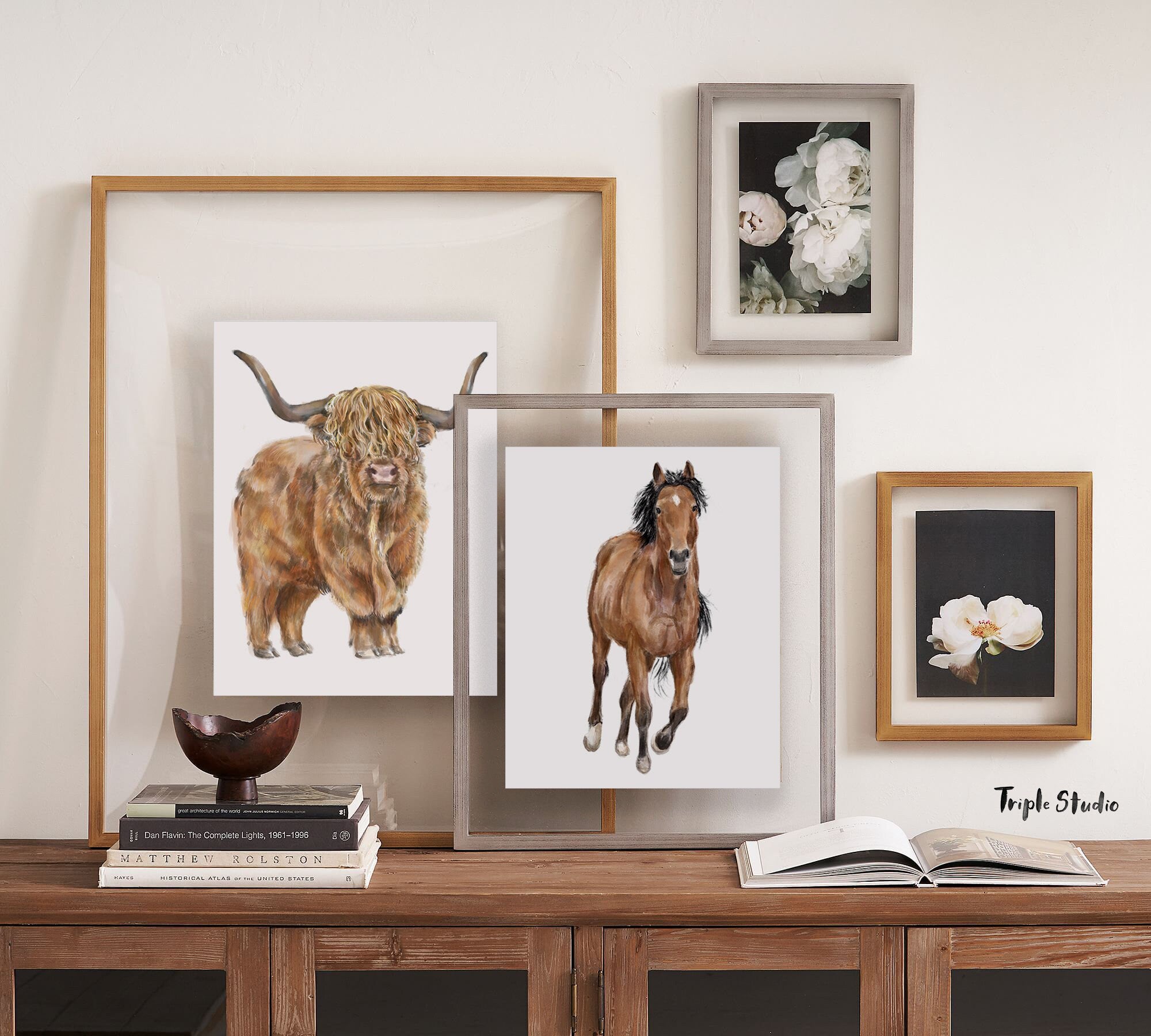 Highland Cow Art Print
