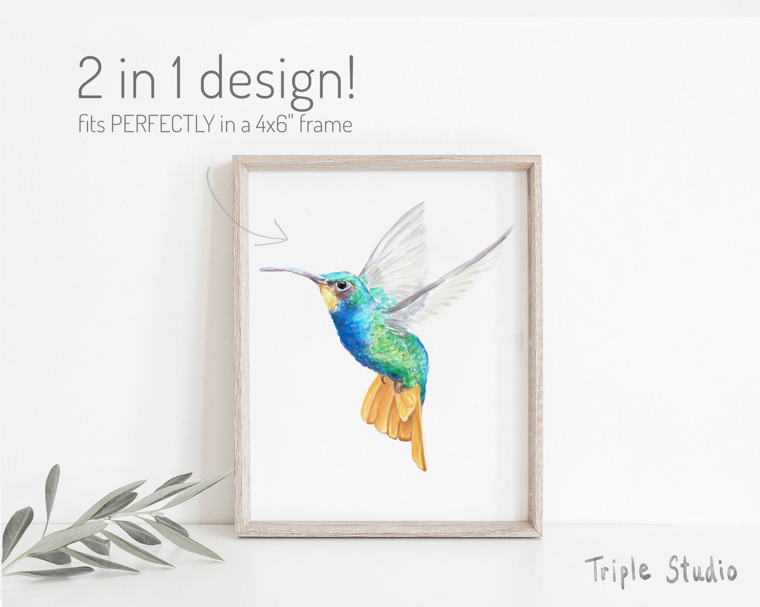 Hummingbird Card