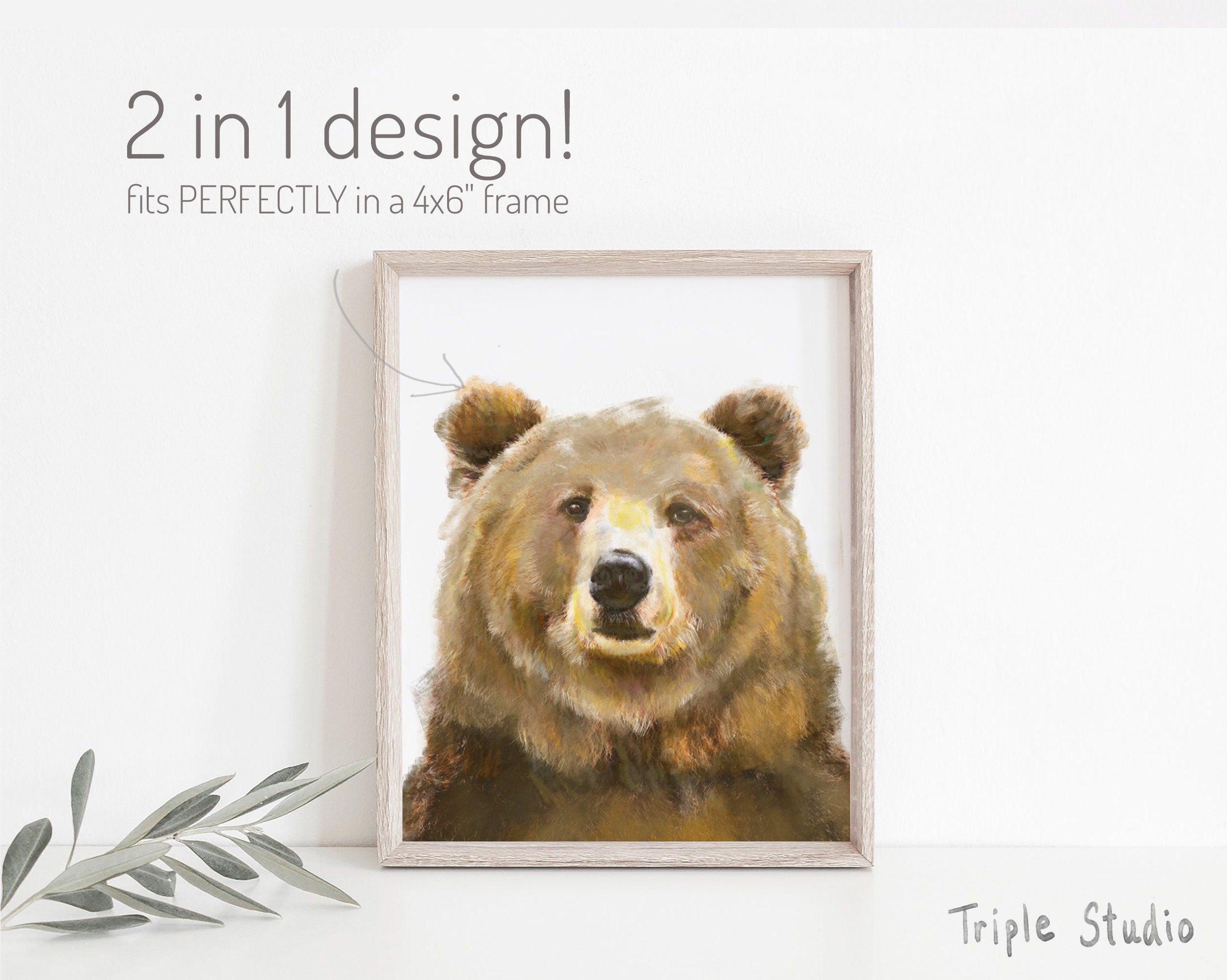 Grizzly Bear Card