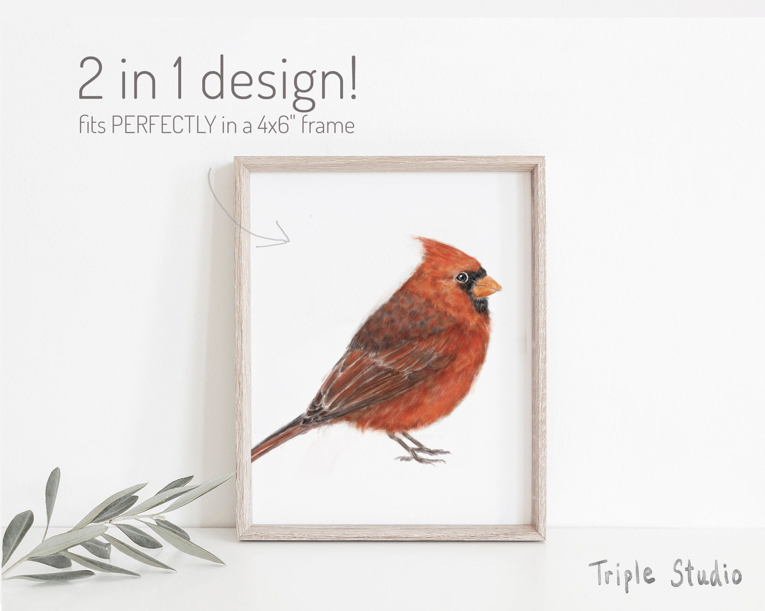 Red Cardinal Bird Card