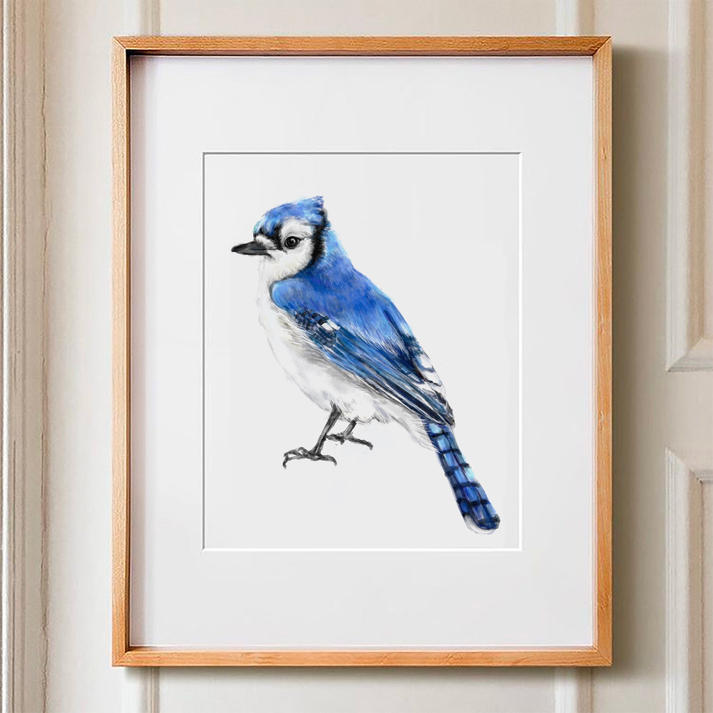 Blue Jay Bird Art Print