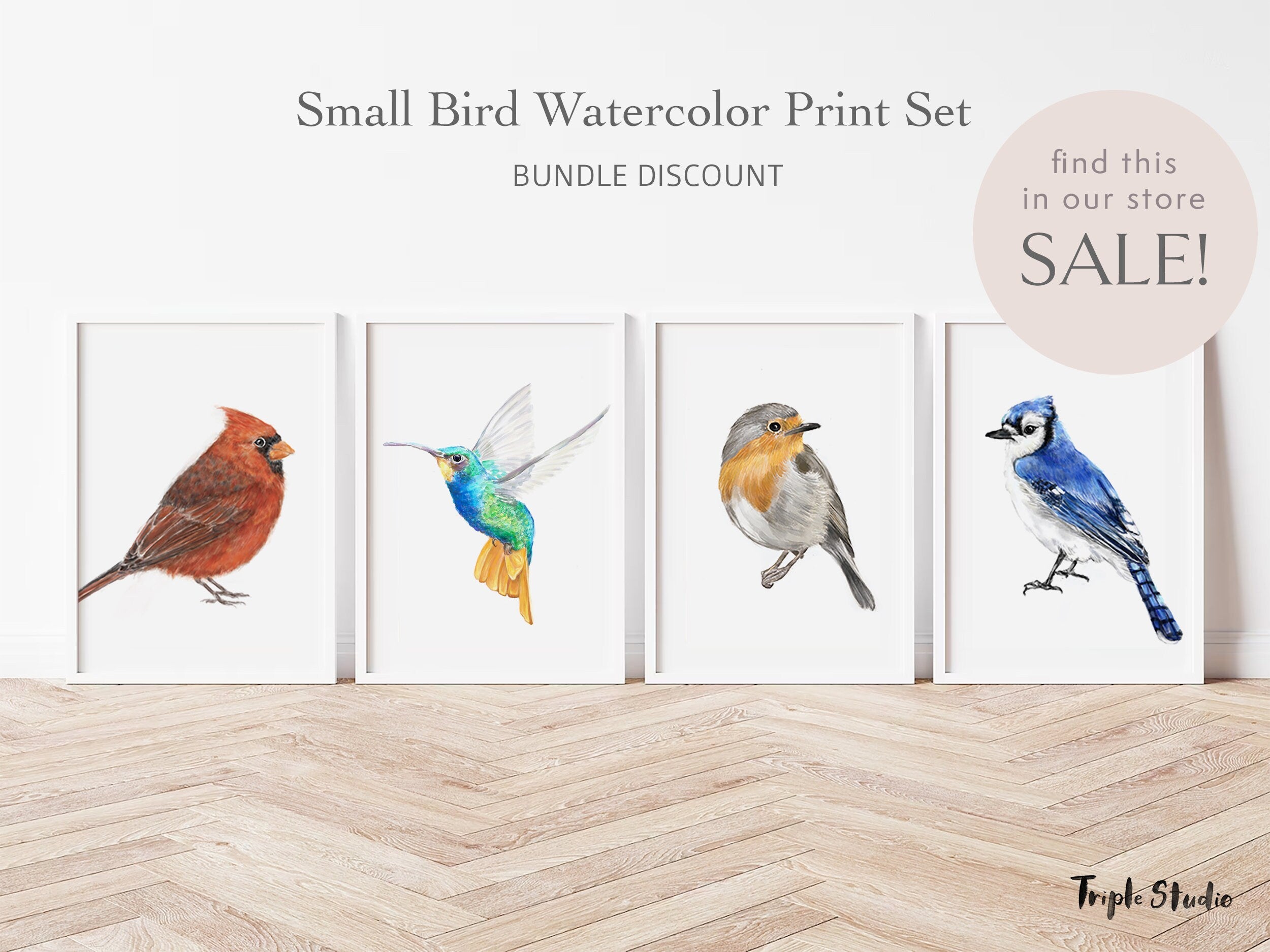 Blue Jay Bird Art Print