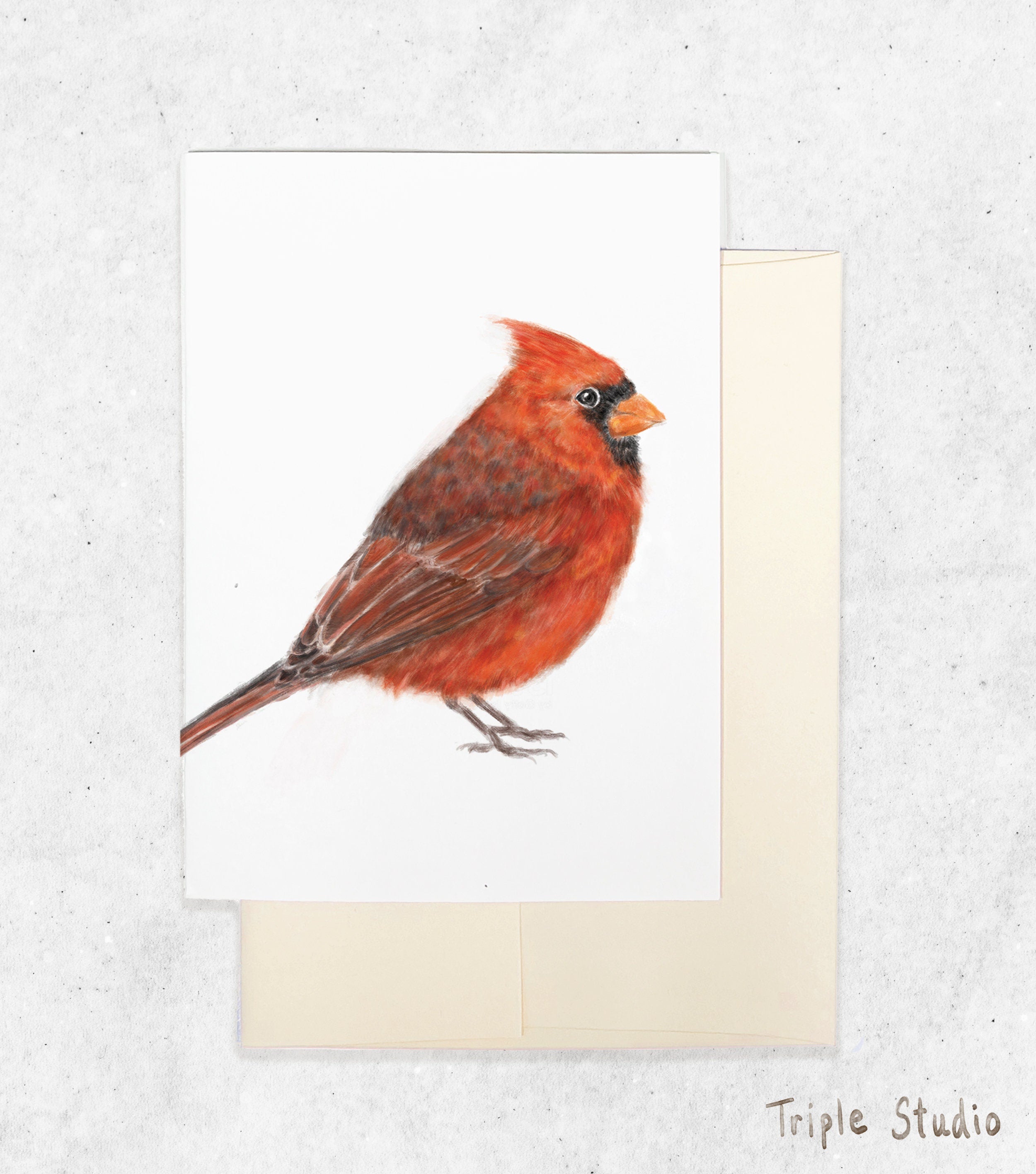 Red Cardinal Bird Card