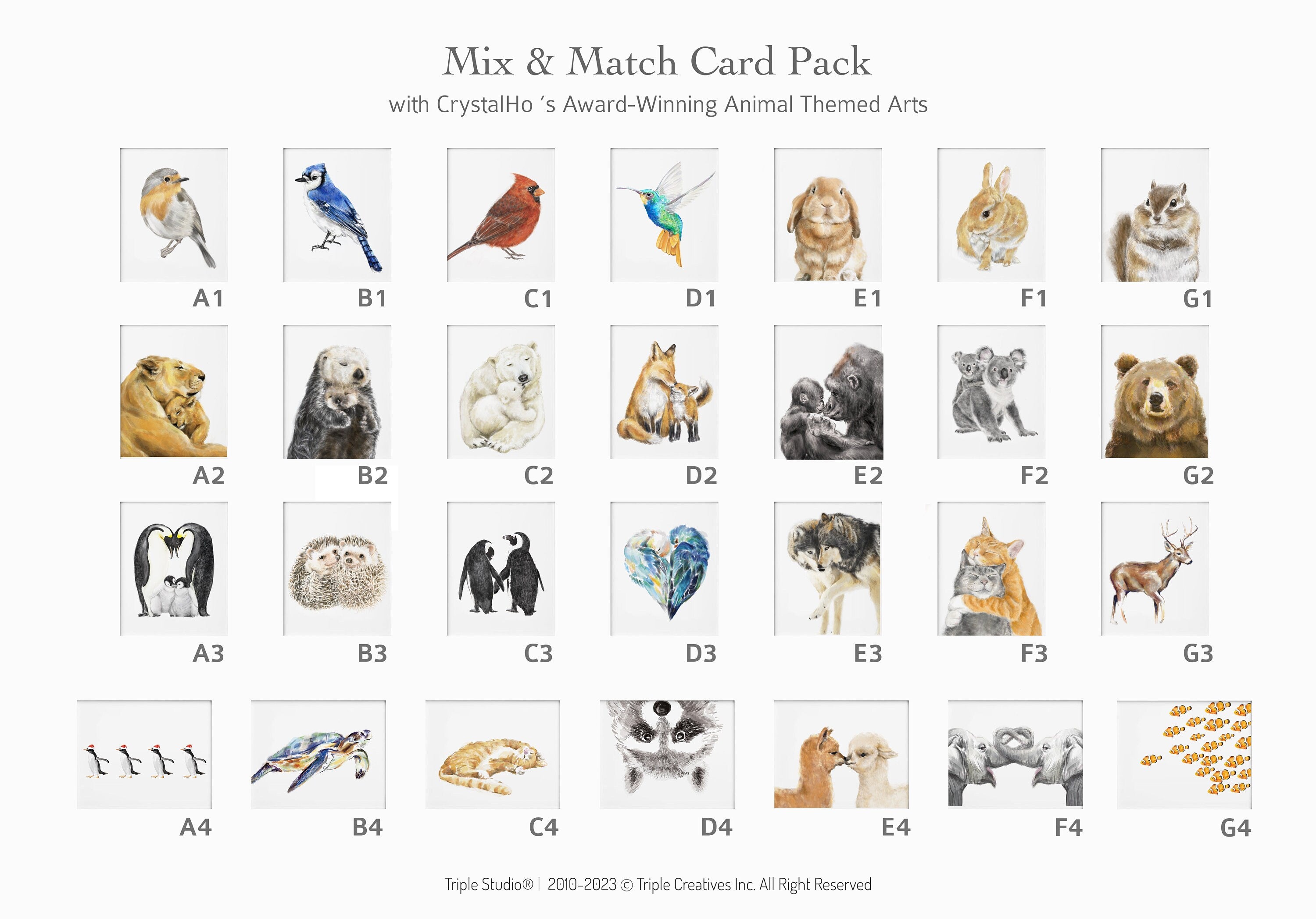 Nemo Fish Greeting Card | Ocean Themed Note Cards | Watercolor Art by Crystal Ho | Mix and Match Set