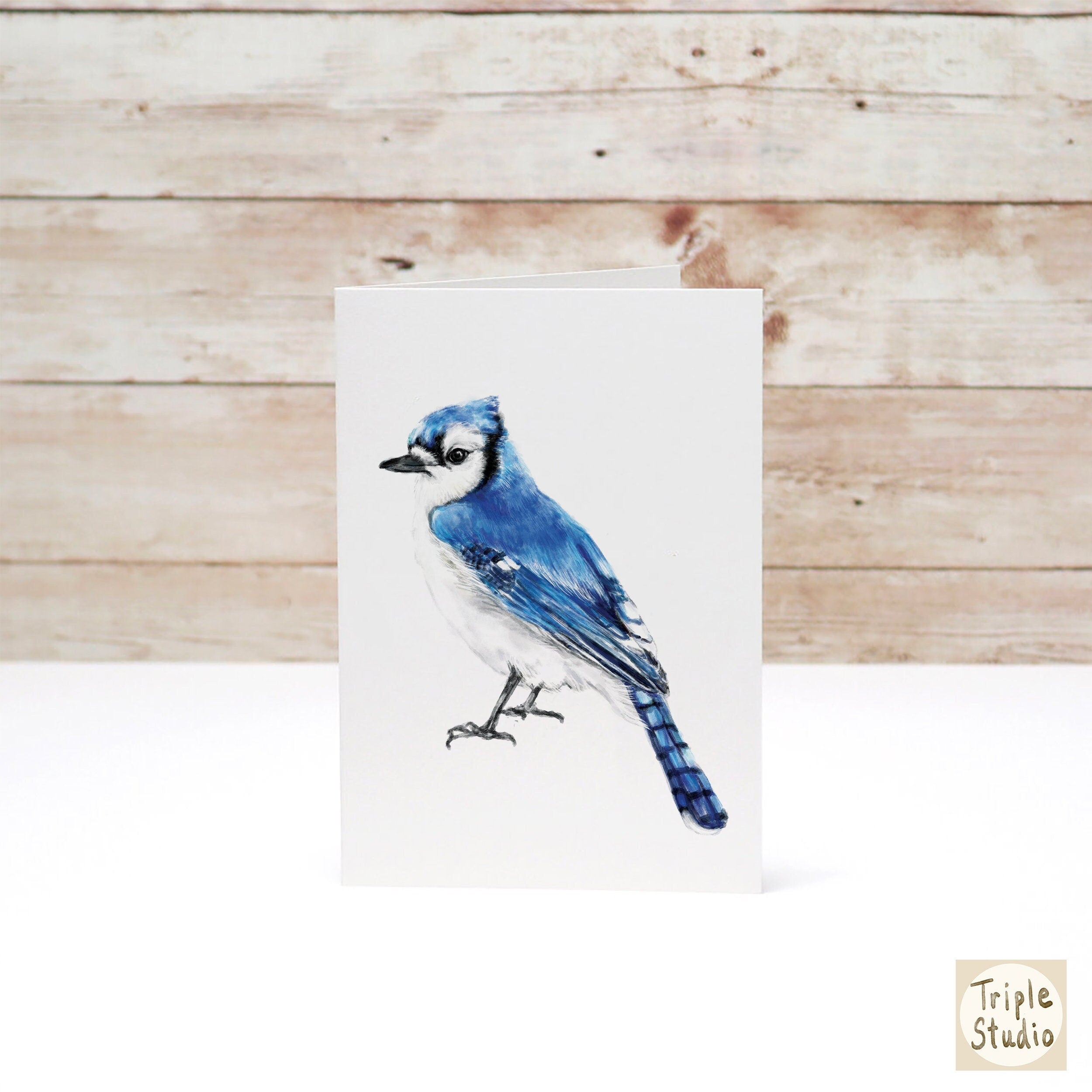 Blue Jay Bird Card