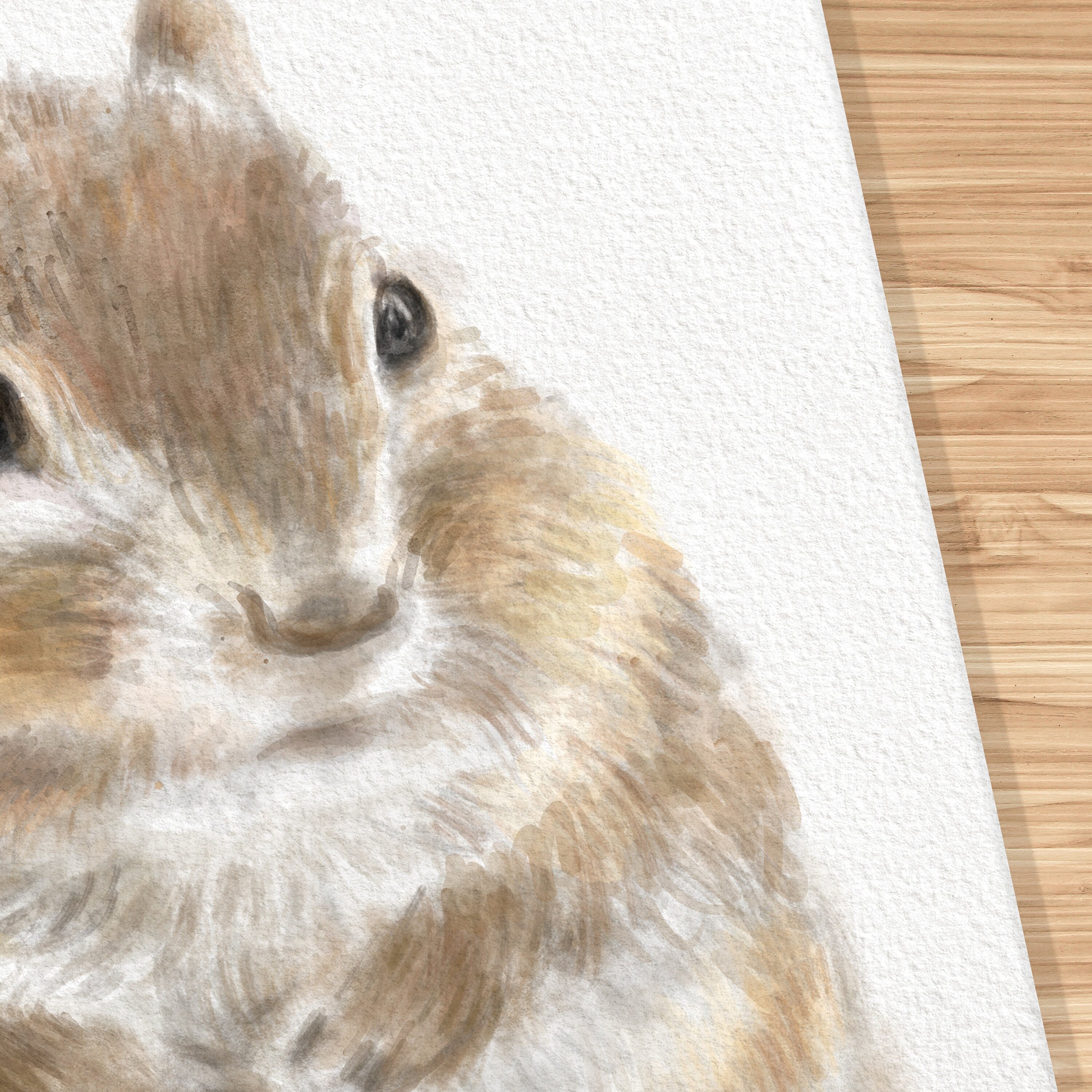 Chipmunk Art Print