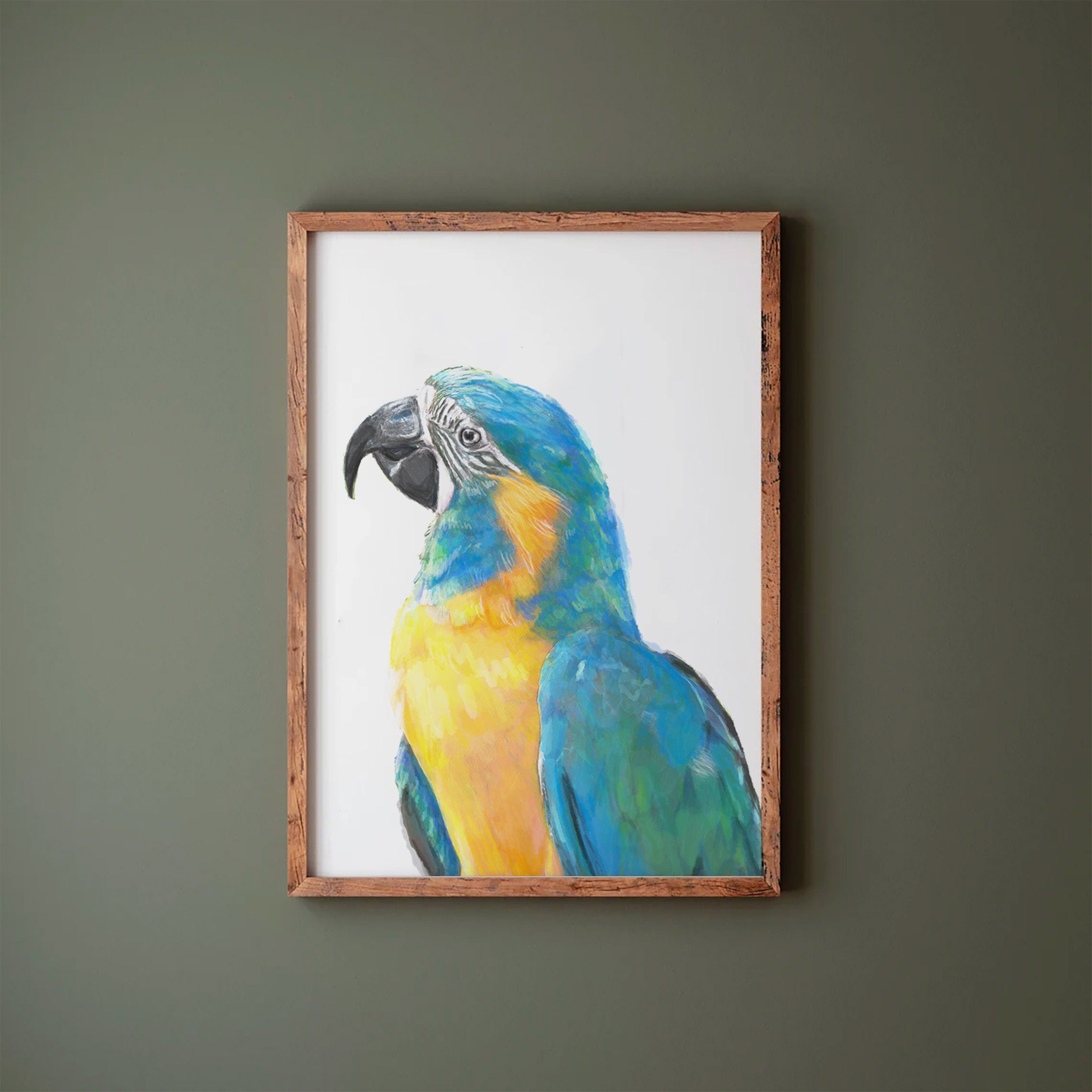 Blue Throated Macaw Bird Art Print