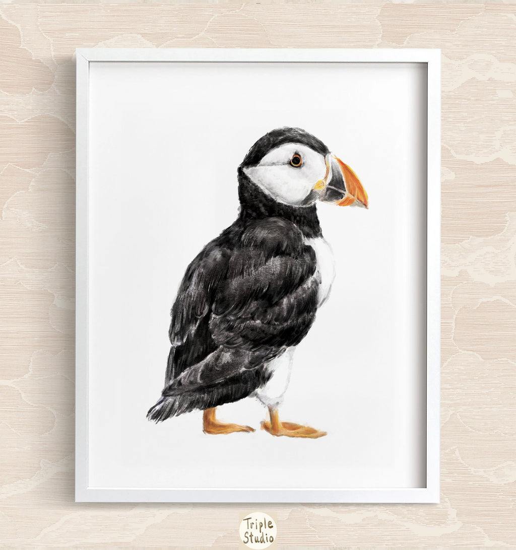 Puffin Bird Art Print