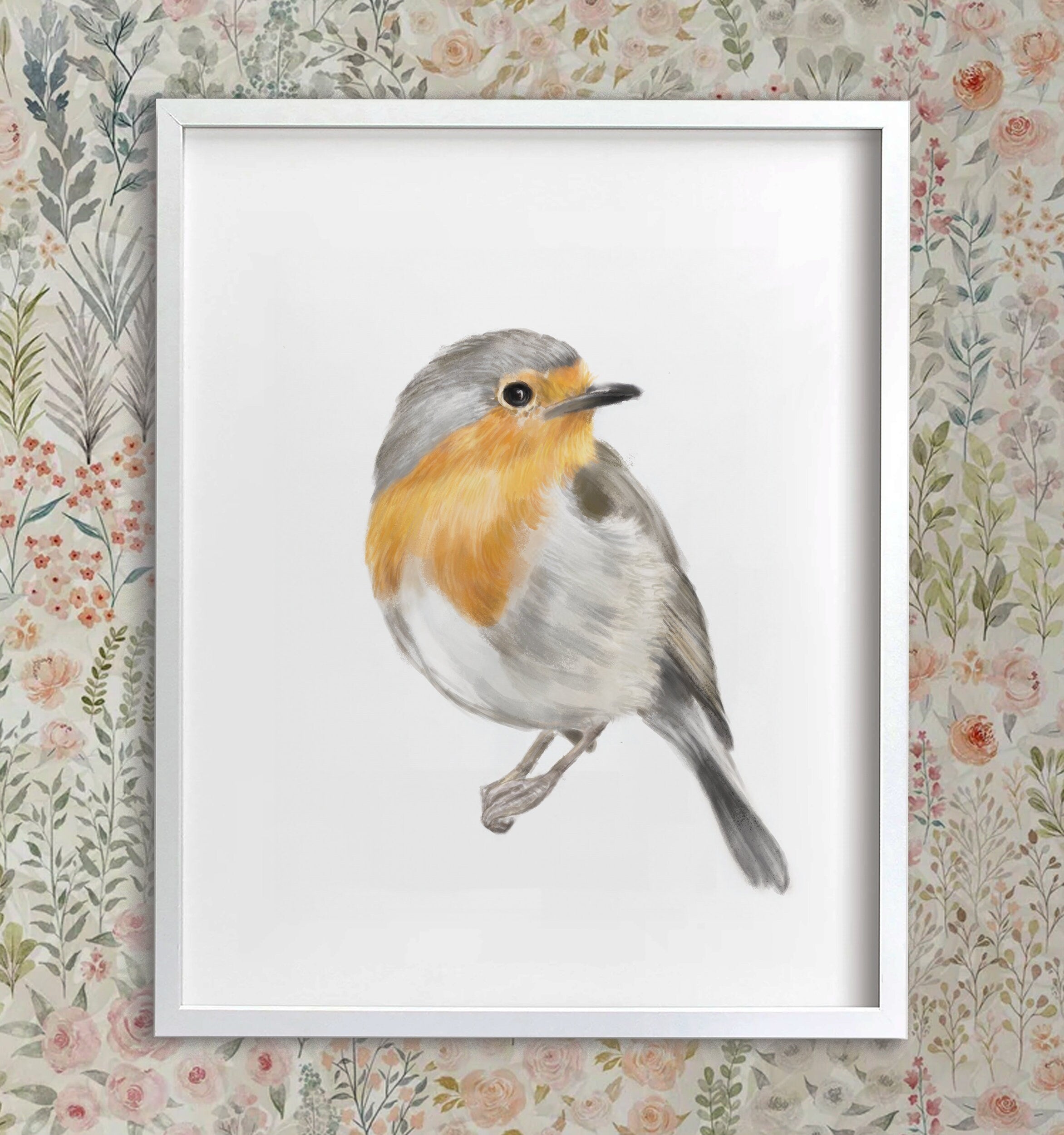 Robin Bird Art Print