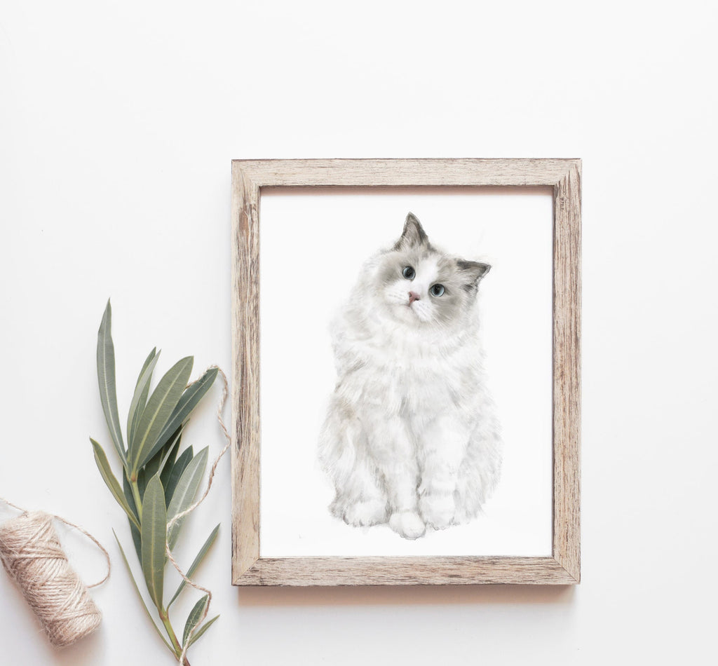 Ragdoll Cat Watercolor Painting for Modern Wall Decor