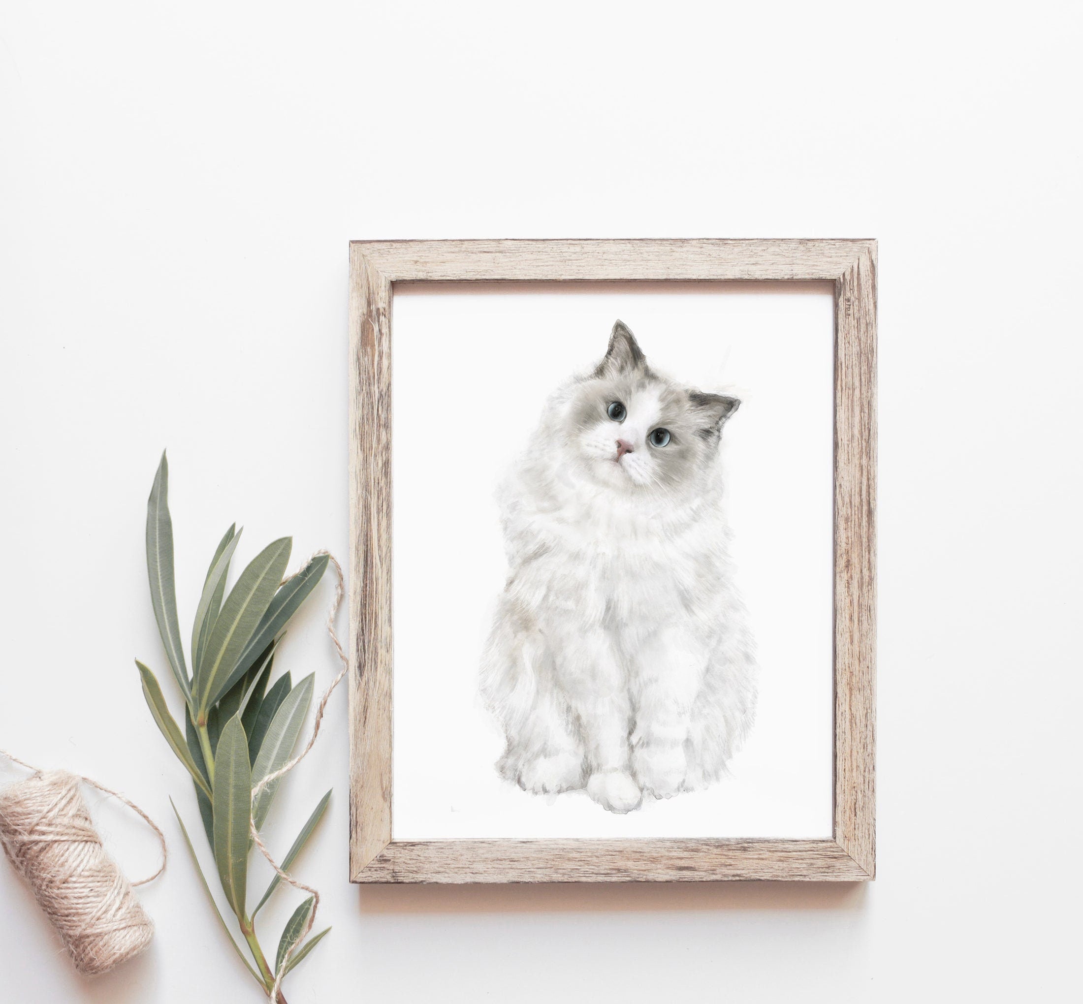 Ragdoll Cat Watercolor Painting for Modern Wall Decor