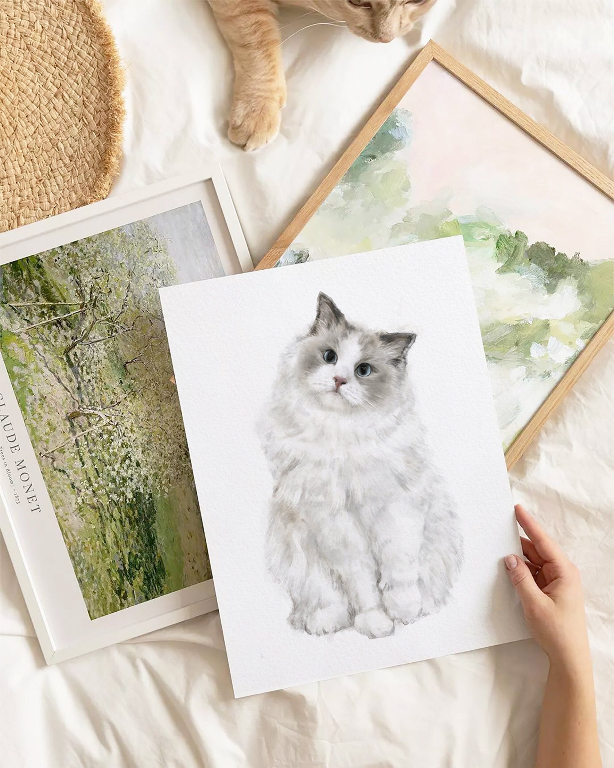 Ragdoll Cat Watercolor Painting for Modern Wall Decor