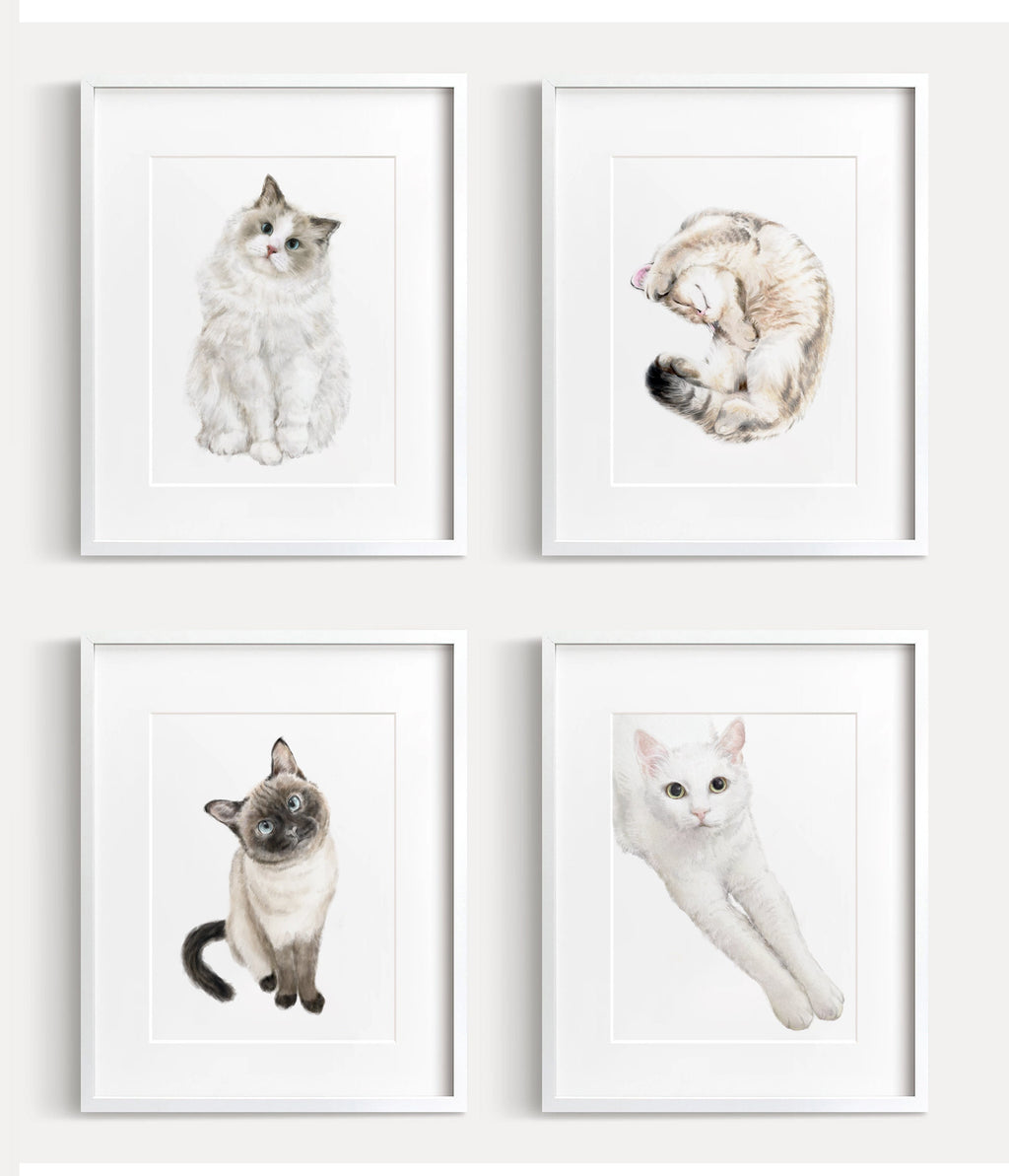 Ragdoll Cat Watercolor Painting for Modern Wall Decor