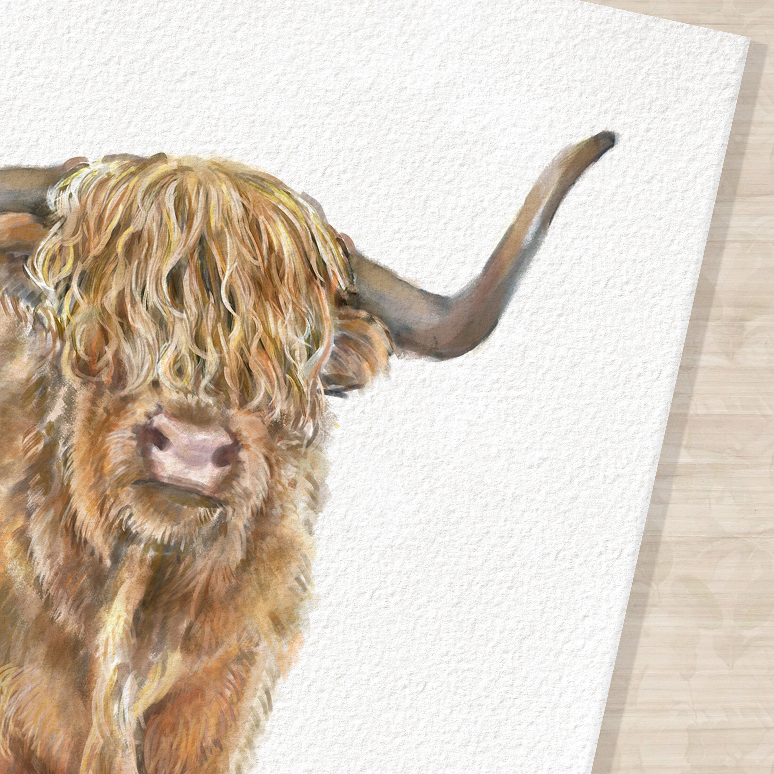 Highland Cow Art Print