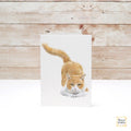 Orange Cat Greeting Card – 4x6” Blank Note Card, Frameable Watercolor Cat Art Print