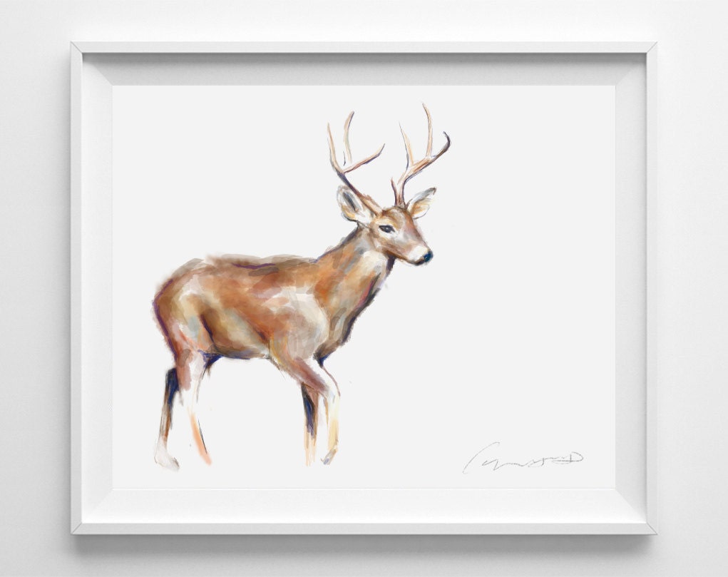 Deer Art Print