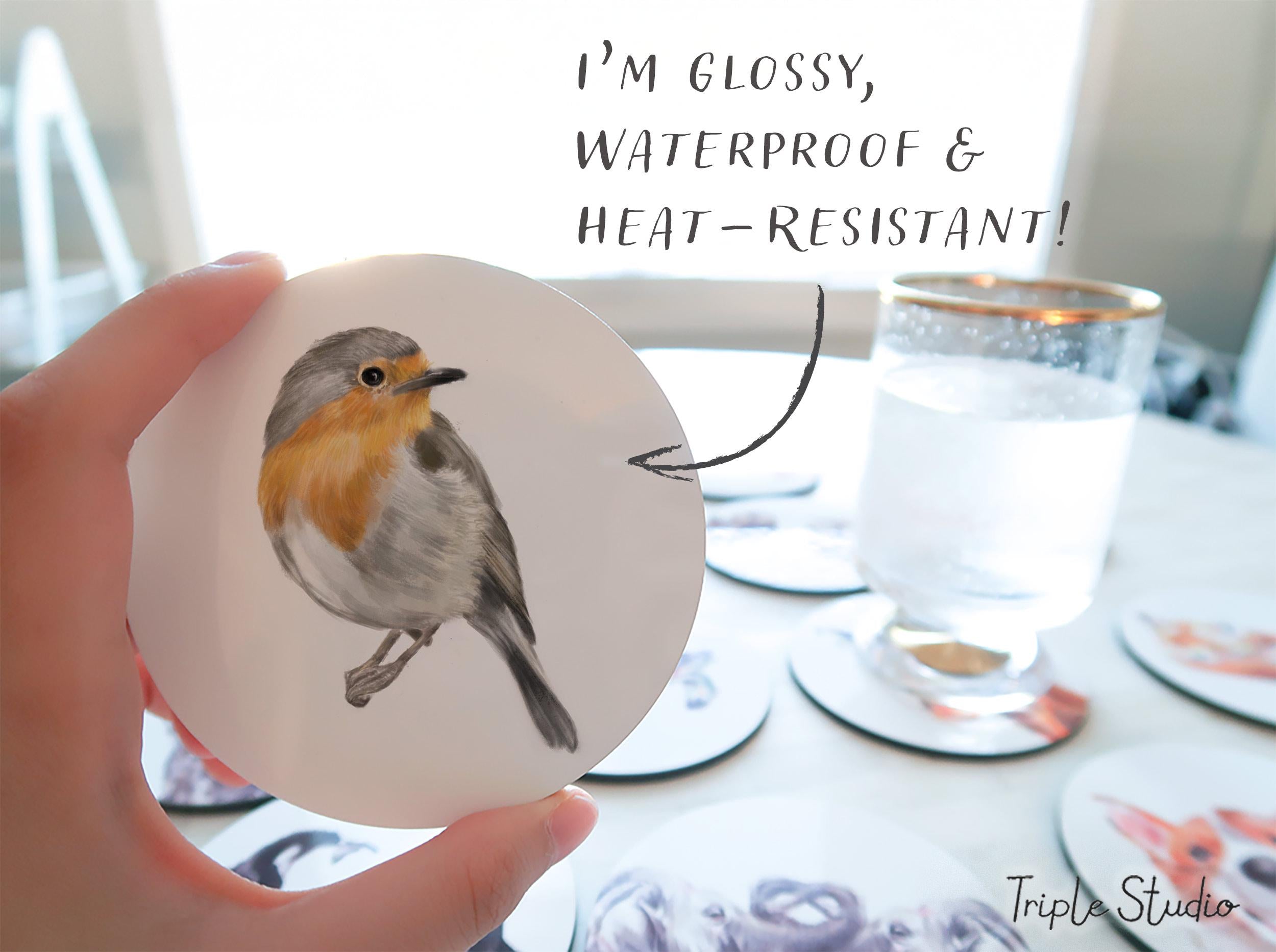 Robin Bird Coaster, Garden Watercolor Art, Cottagecore Kitchen Coffee Table Decor, Rustic Home Gift for Gardener, Woodland Bird Drink Mat