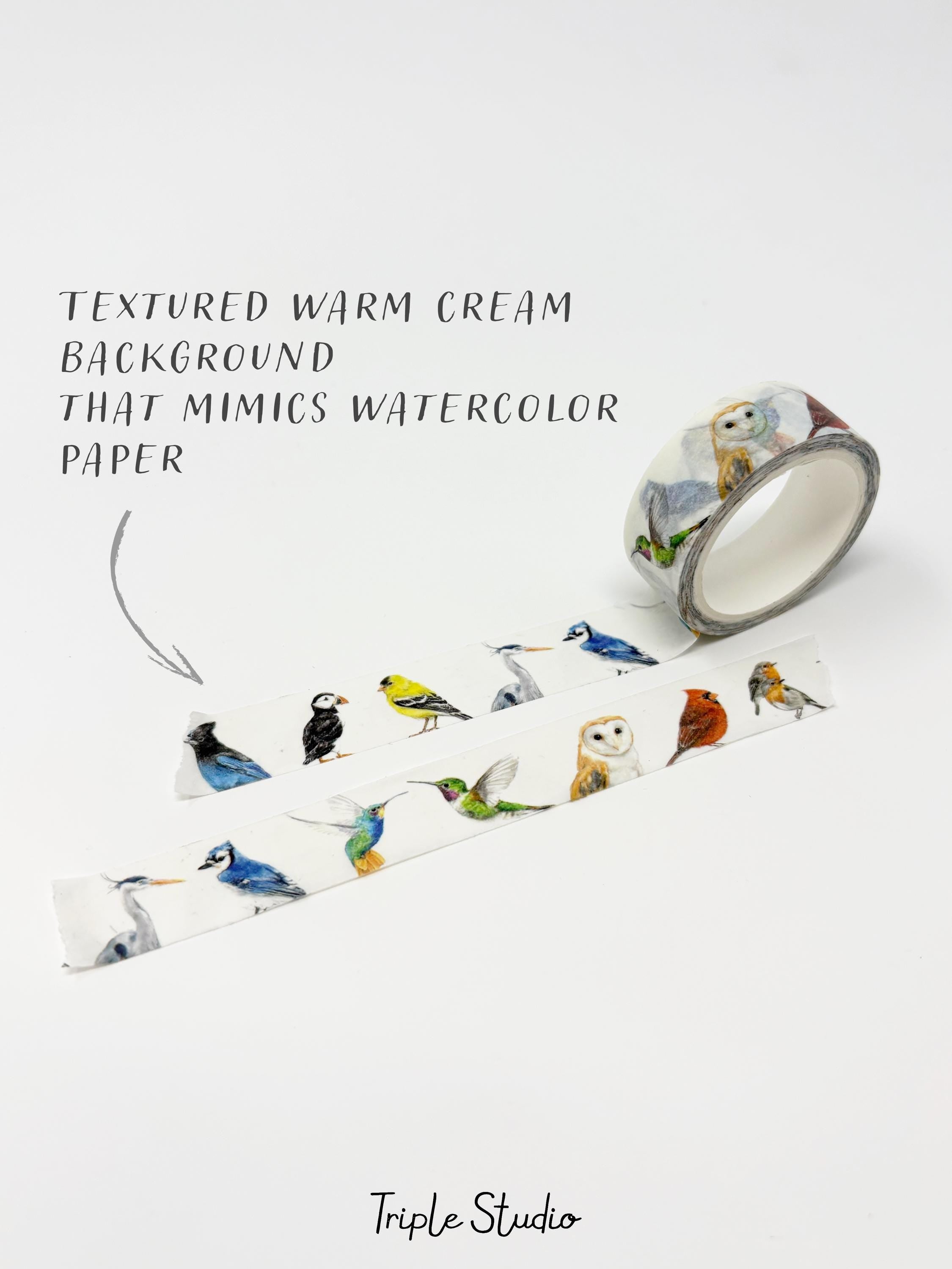 Colorful Bird Washi Tape (2 Rolls)