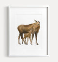 Baby Moose and Mom Wall Art Print