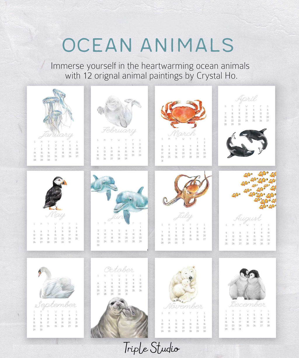 2027 Desk Calendar: Ocean Animal