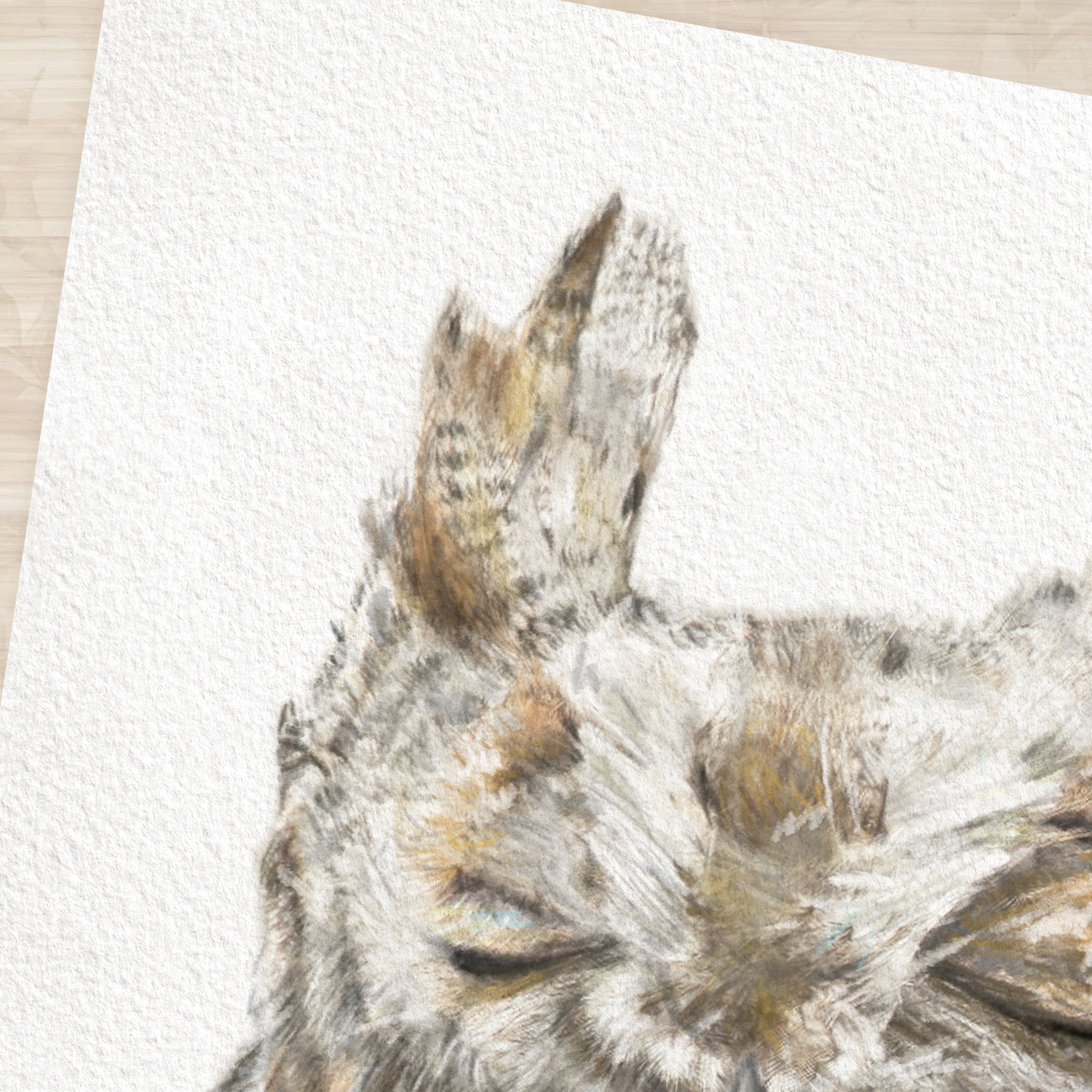 Burrowing Owl Art Print
