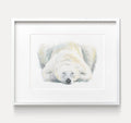 Polar Bear Sweet Dreams Minimalist Art Print