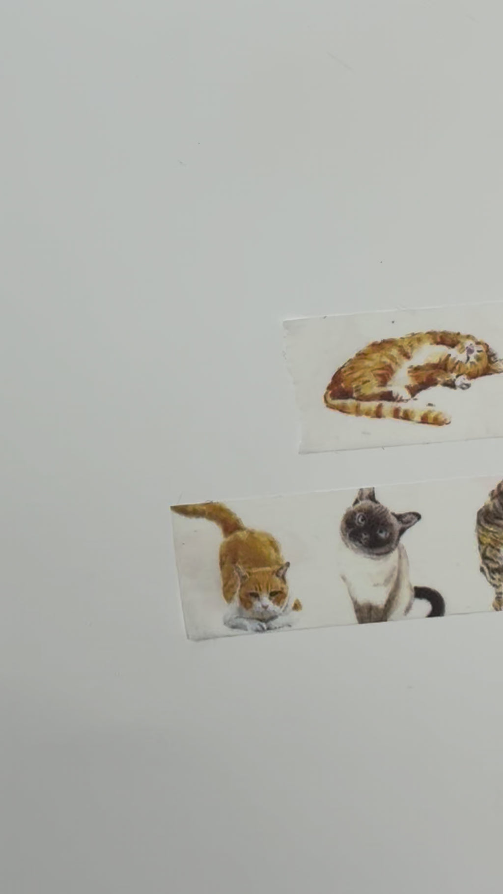 Watercolor Cat Washi Tape Set (2 Rolls) – Ginger Orange & White Cats