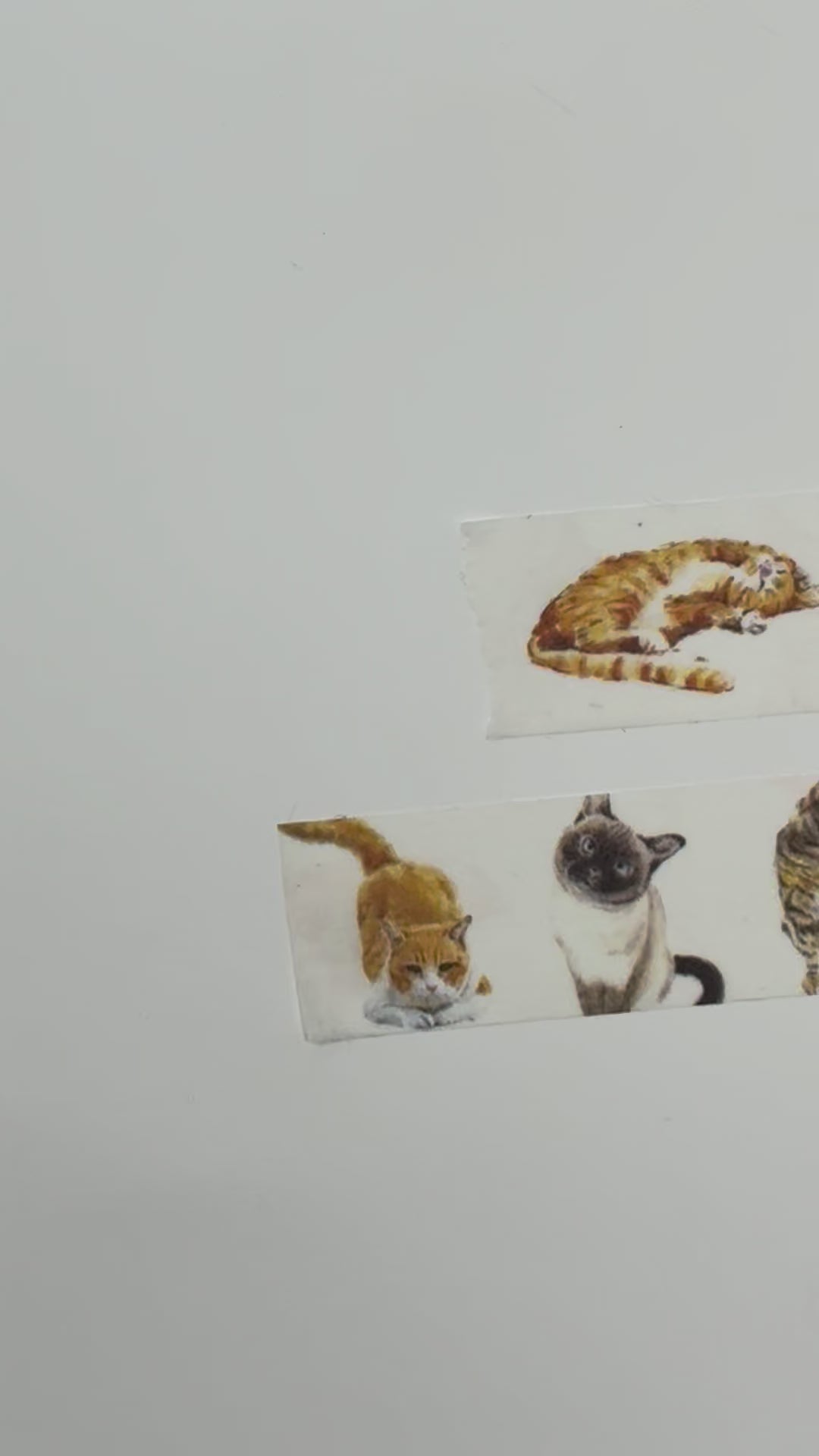 Watercolor Cat Washi Tape Set (2 Rolls) – Ginger Orange & White Cats