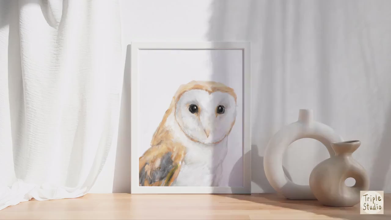 Barn Owl Art Print