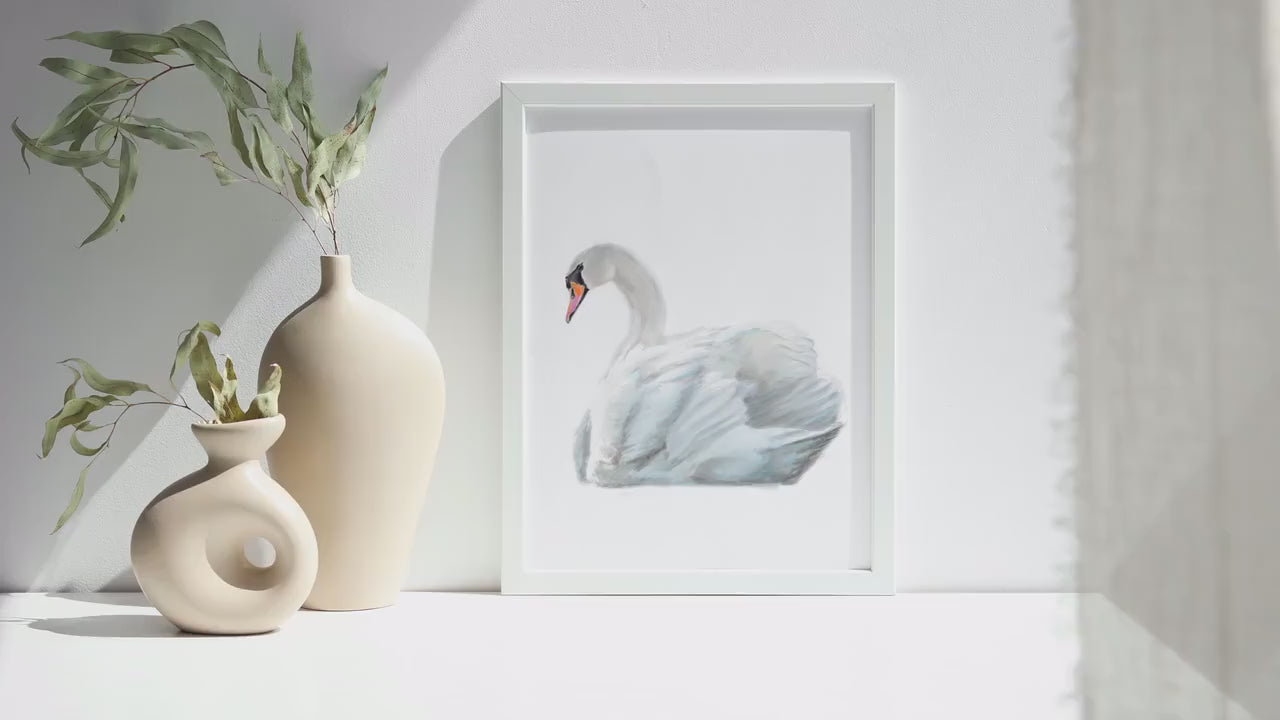 Swan Art Print