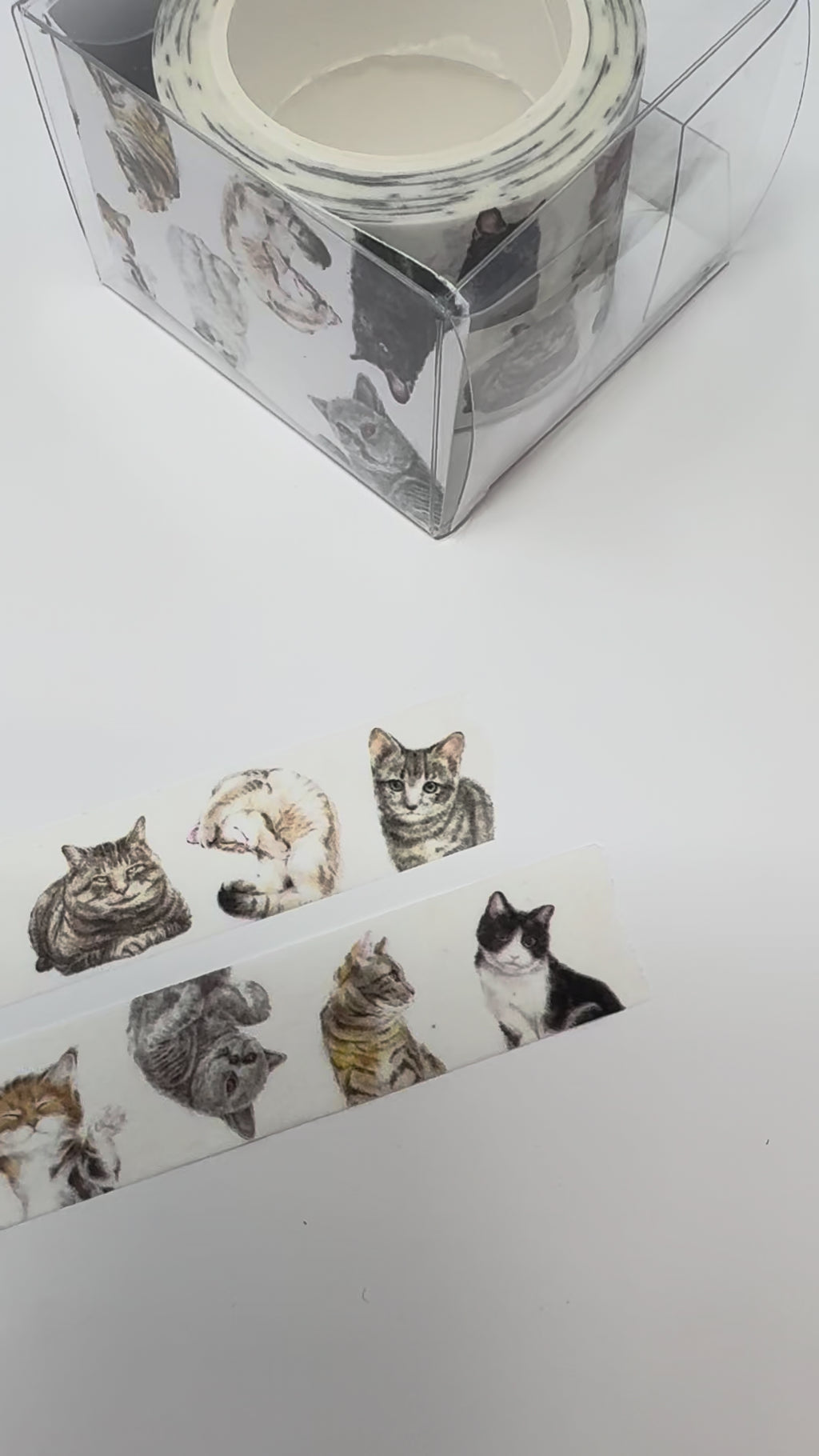 Cat Washi Tape, Vol 1 (2 Rolls)