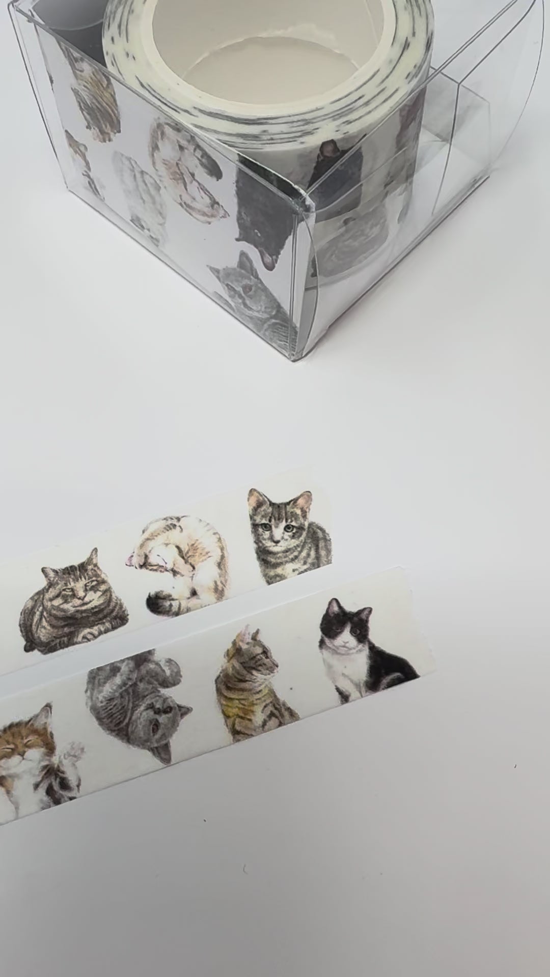 Cat Washi Tape, Vol 1 (2 Rolls)