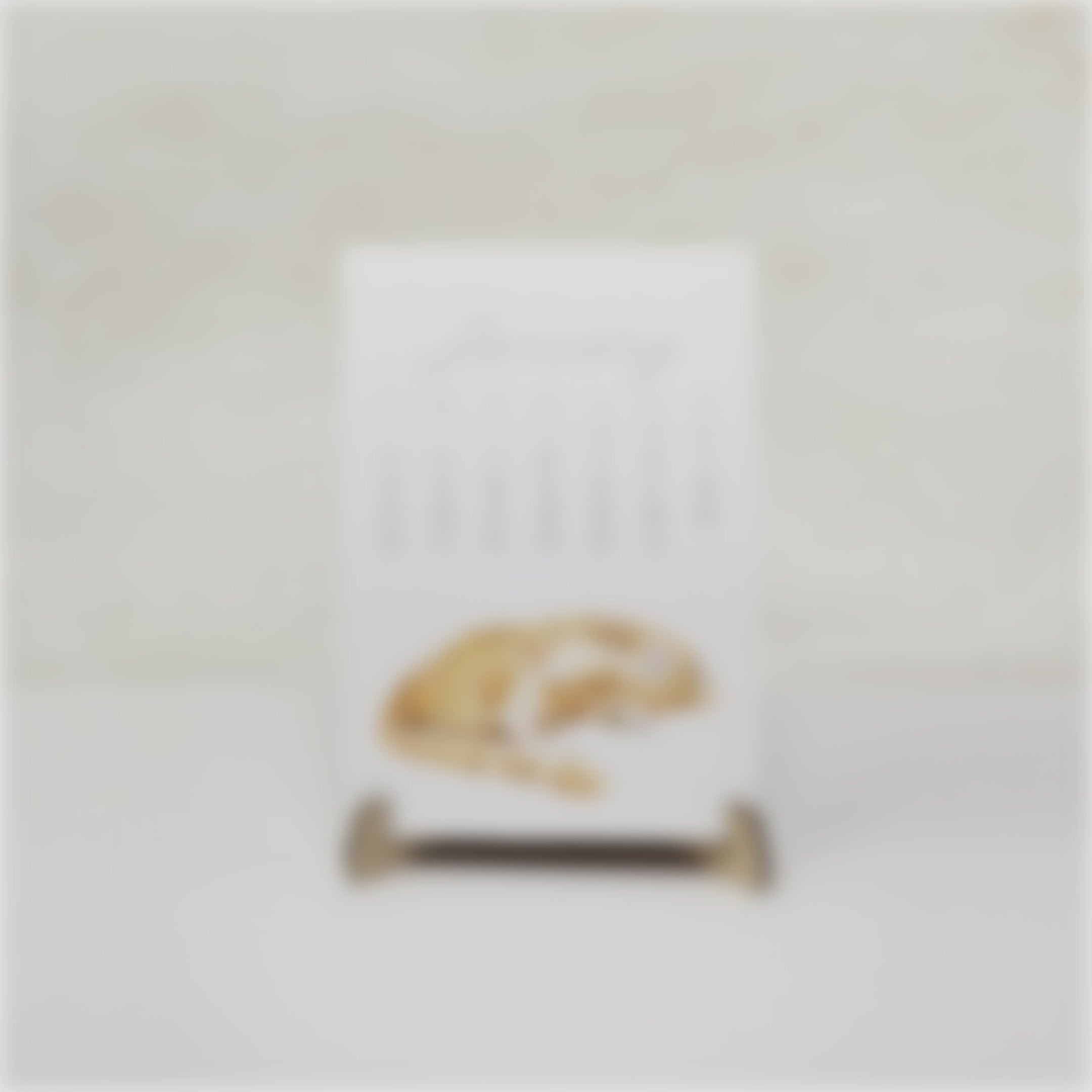 2026 Desk Calendar: Cat Watercolor Art