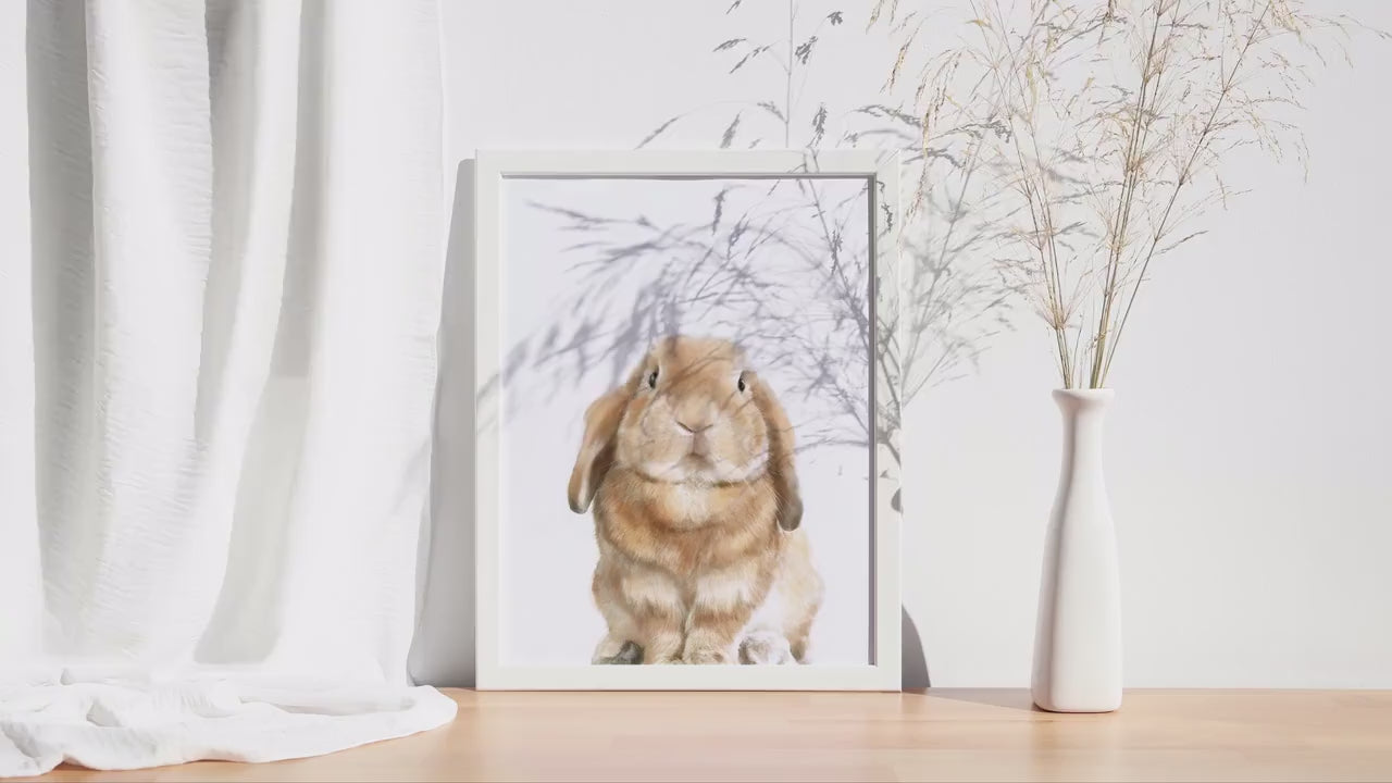 Lop Rabbit Art Print